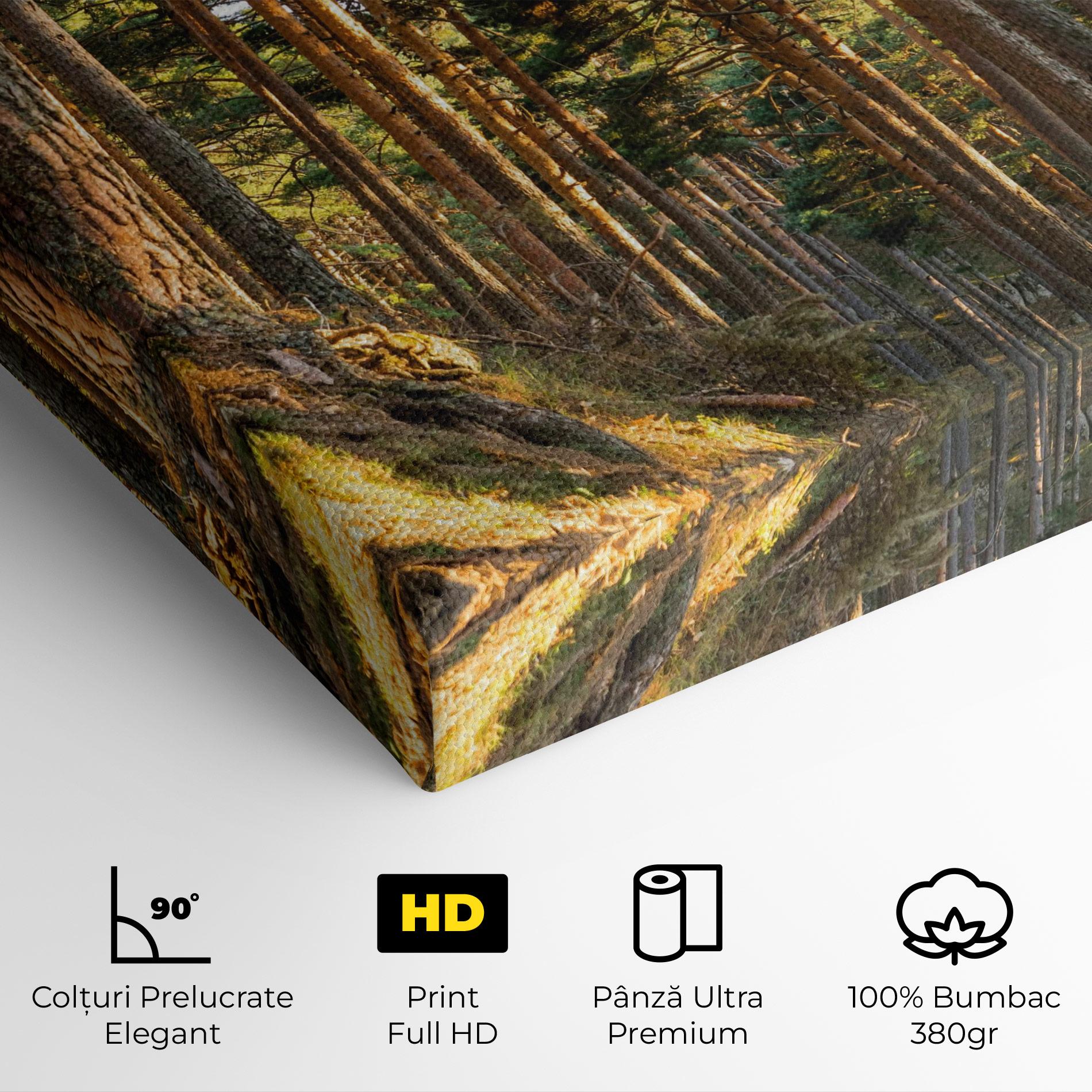 Tablou Canvas Big Trees Forest mockup 4