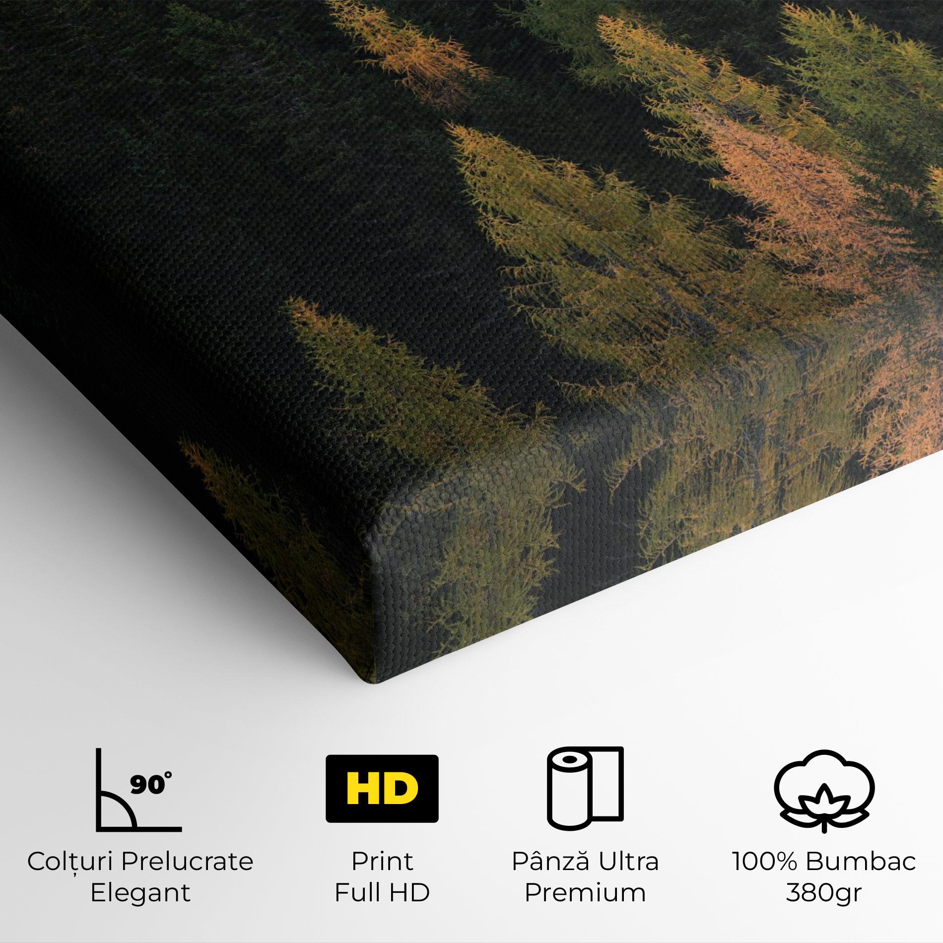 Tablou Canvas Color Mix Tree mockup 4