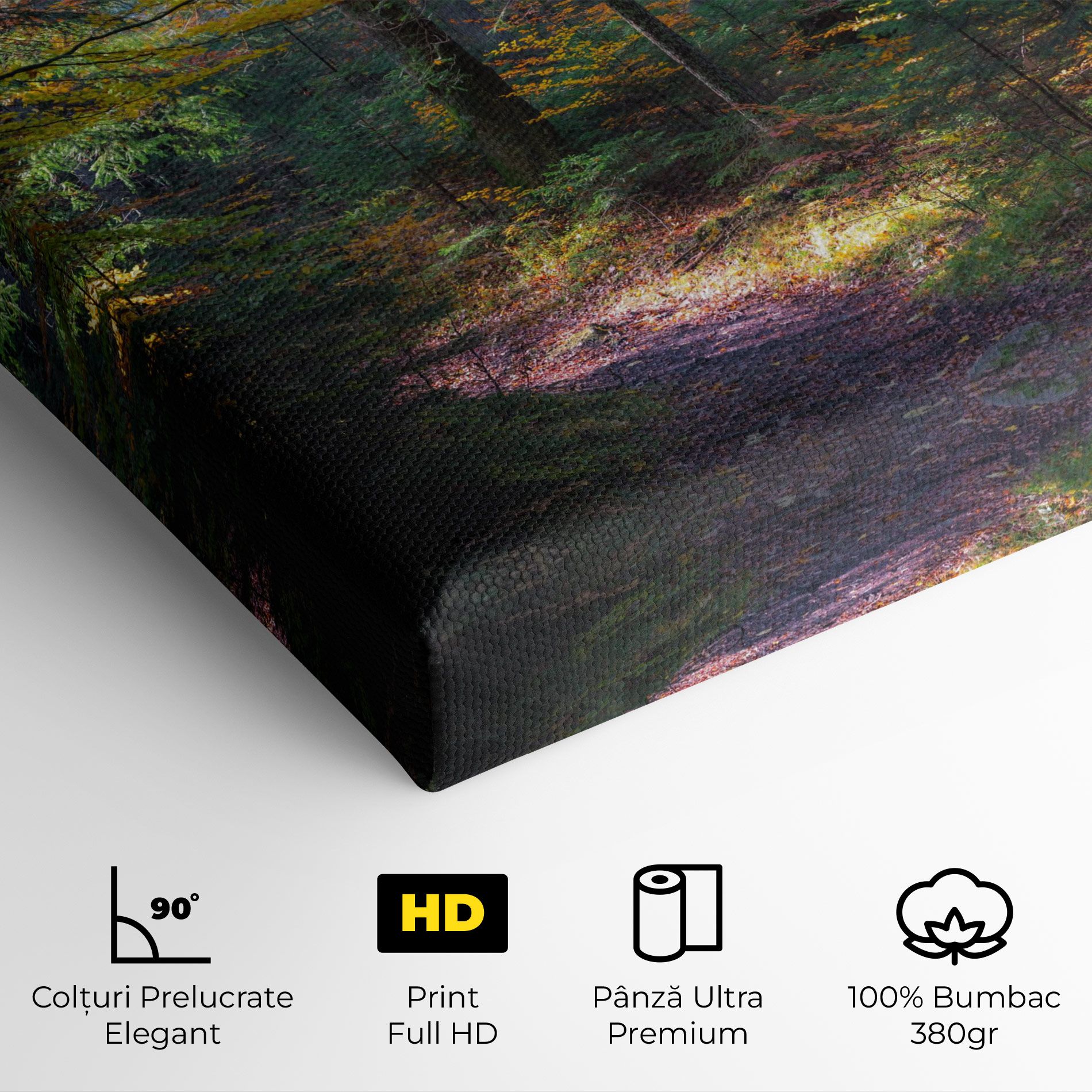 Dreamy Path Dorest mockup 4