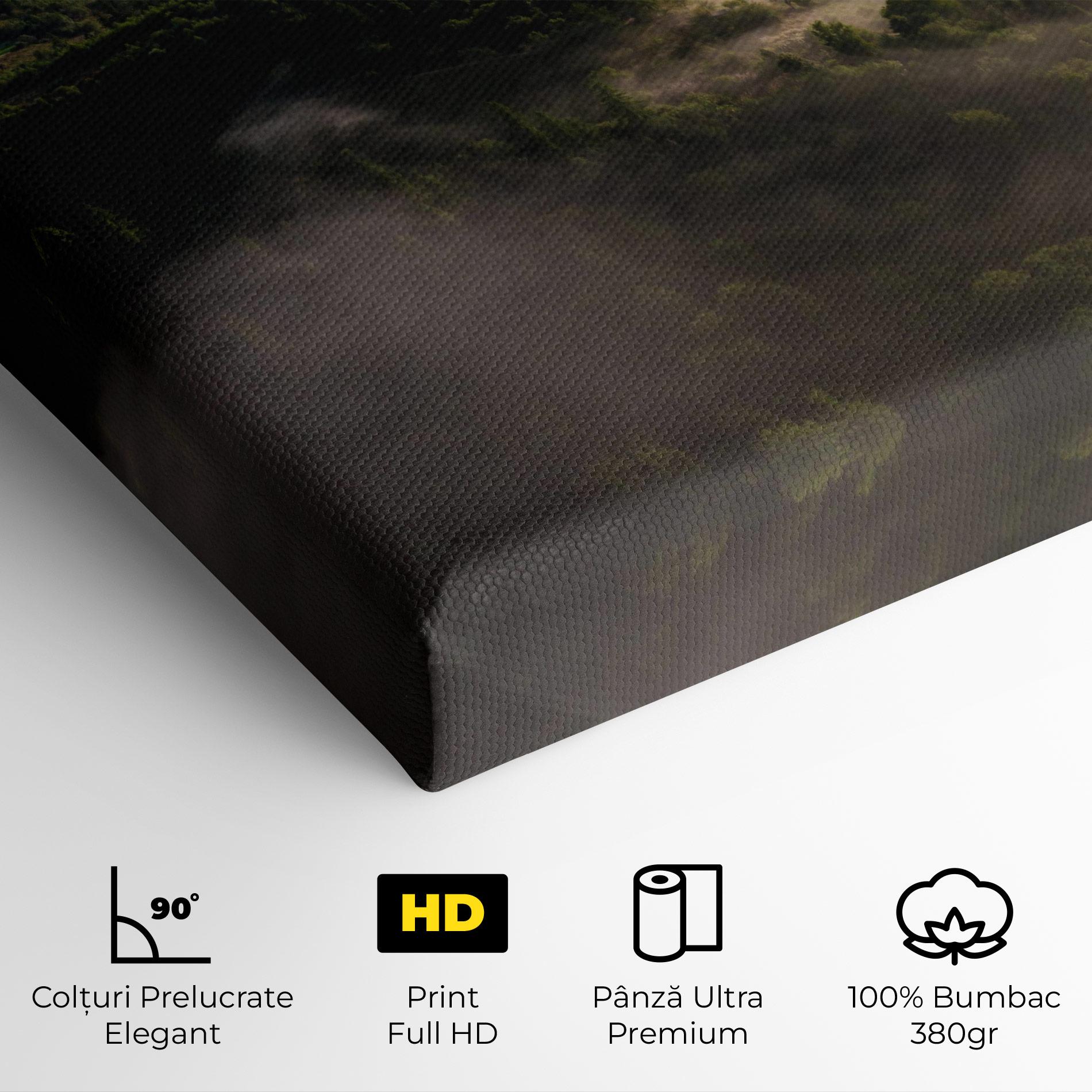 Tablou Canvas Foggy Forest View mockup 4
