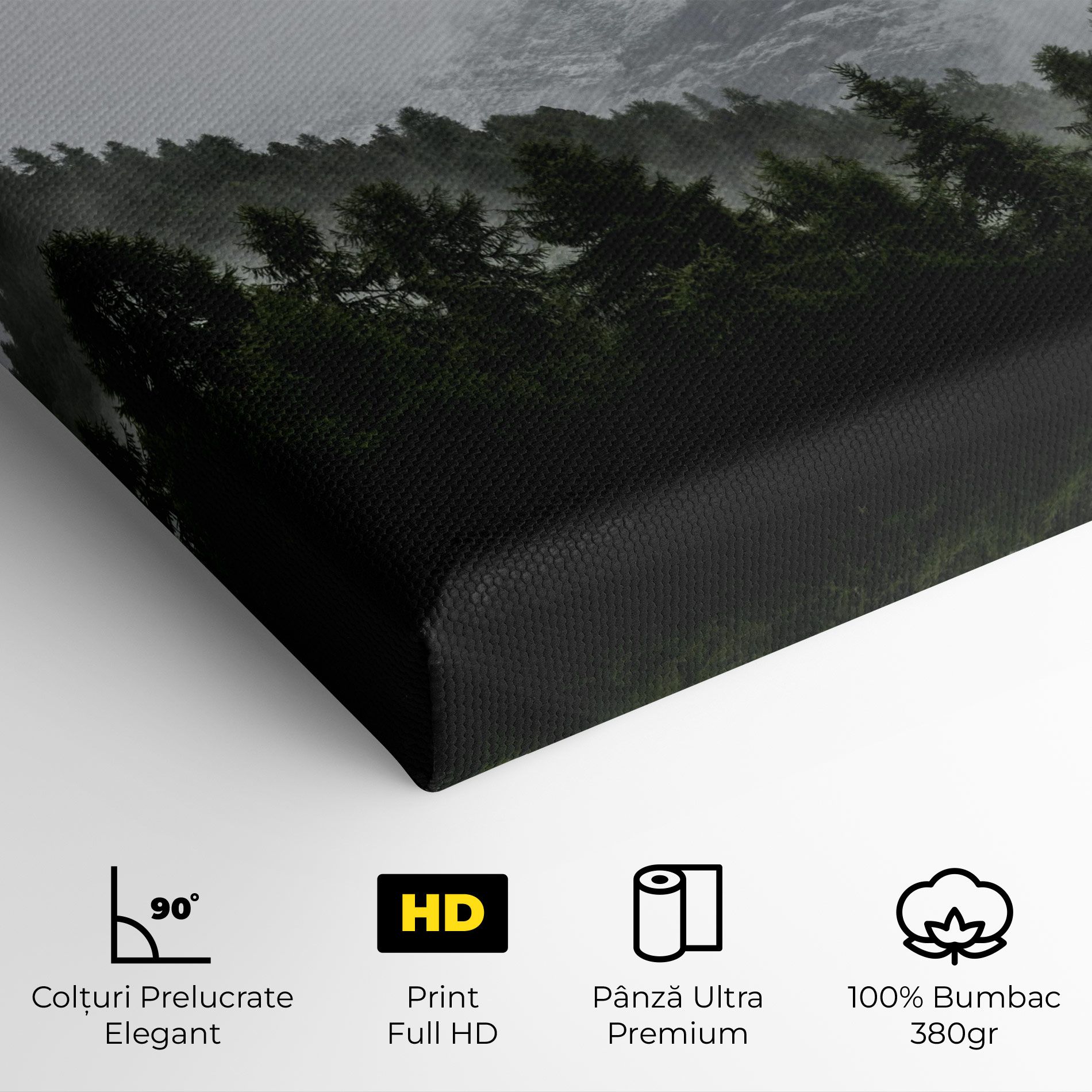 Foggy Mountain Forest mockup 4