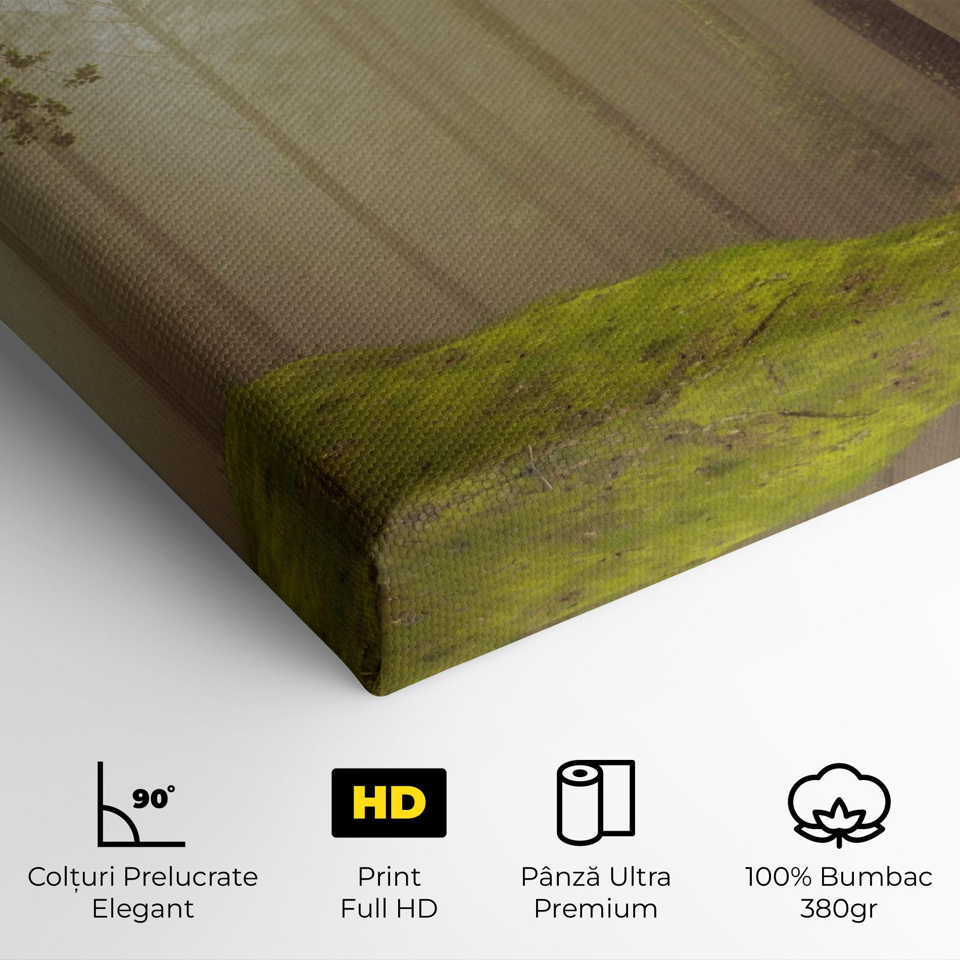 Tablou Canvas Foggy Tree Art mockup 4