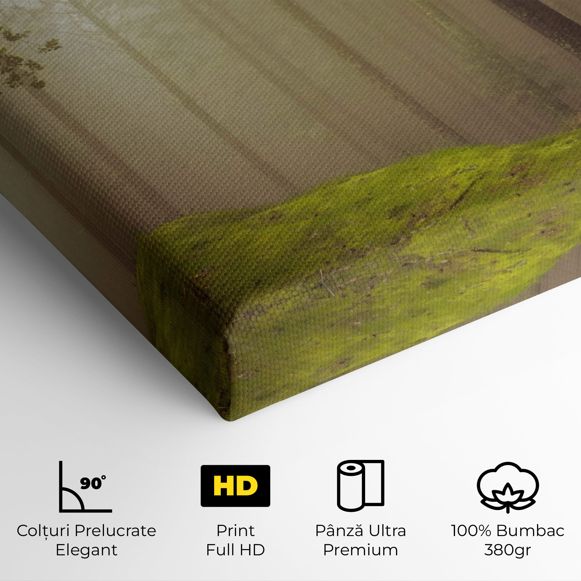 Foggy Tree Art mockup 4