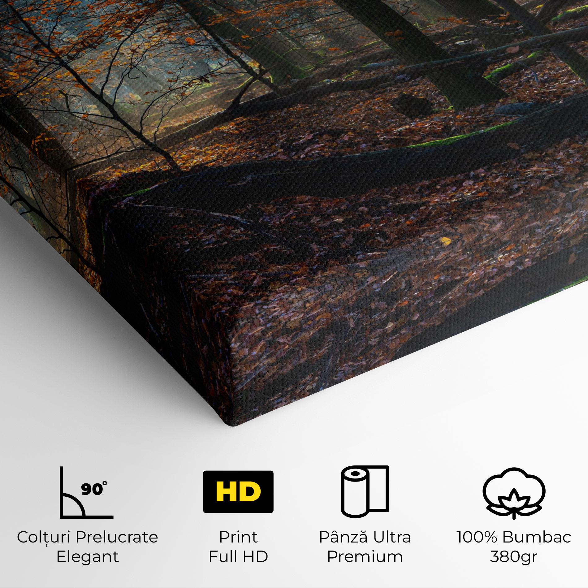 Tablou Canvas Forest Autumn Day mockup 4