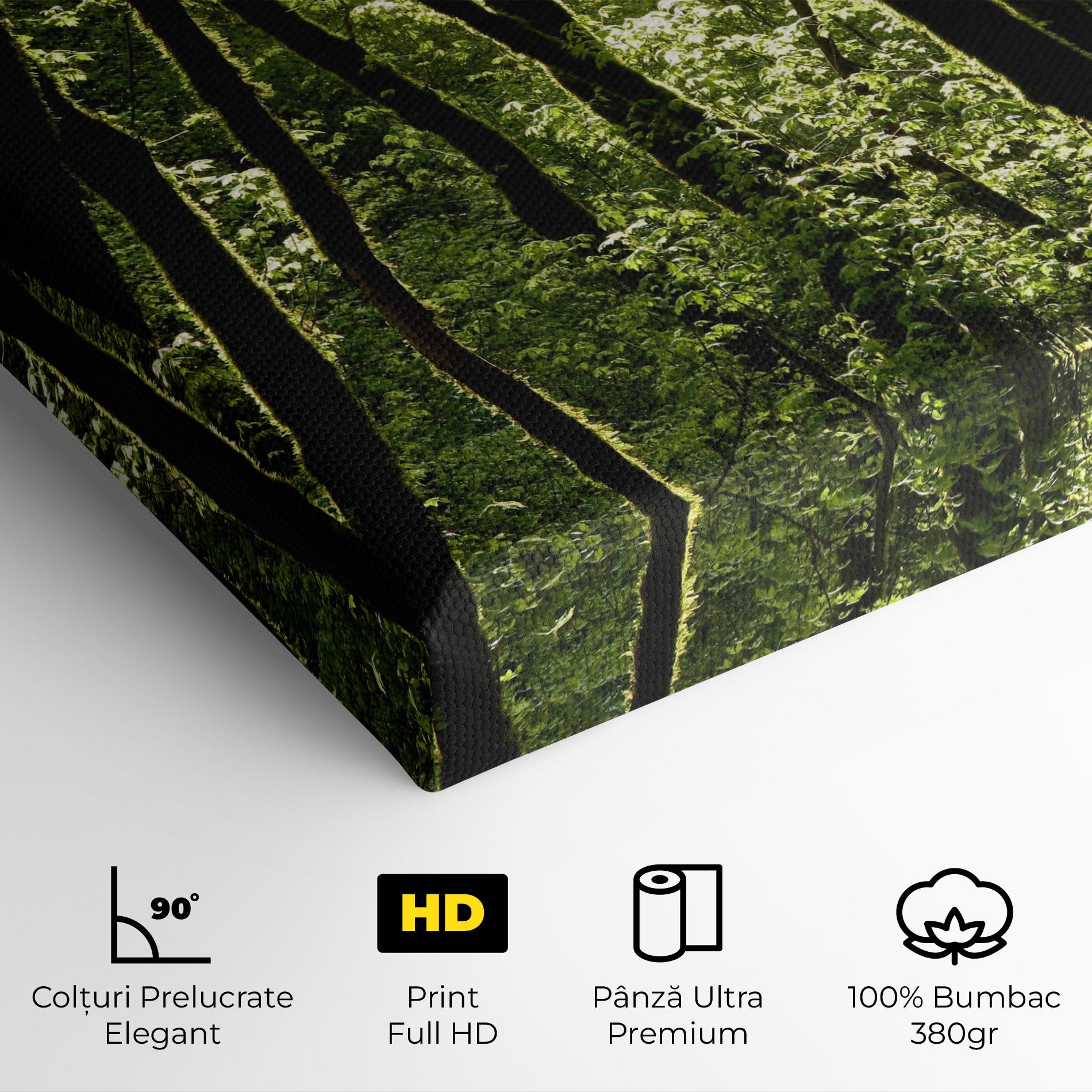 Tablou Canvas Forest Black Trees mockup 4