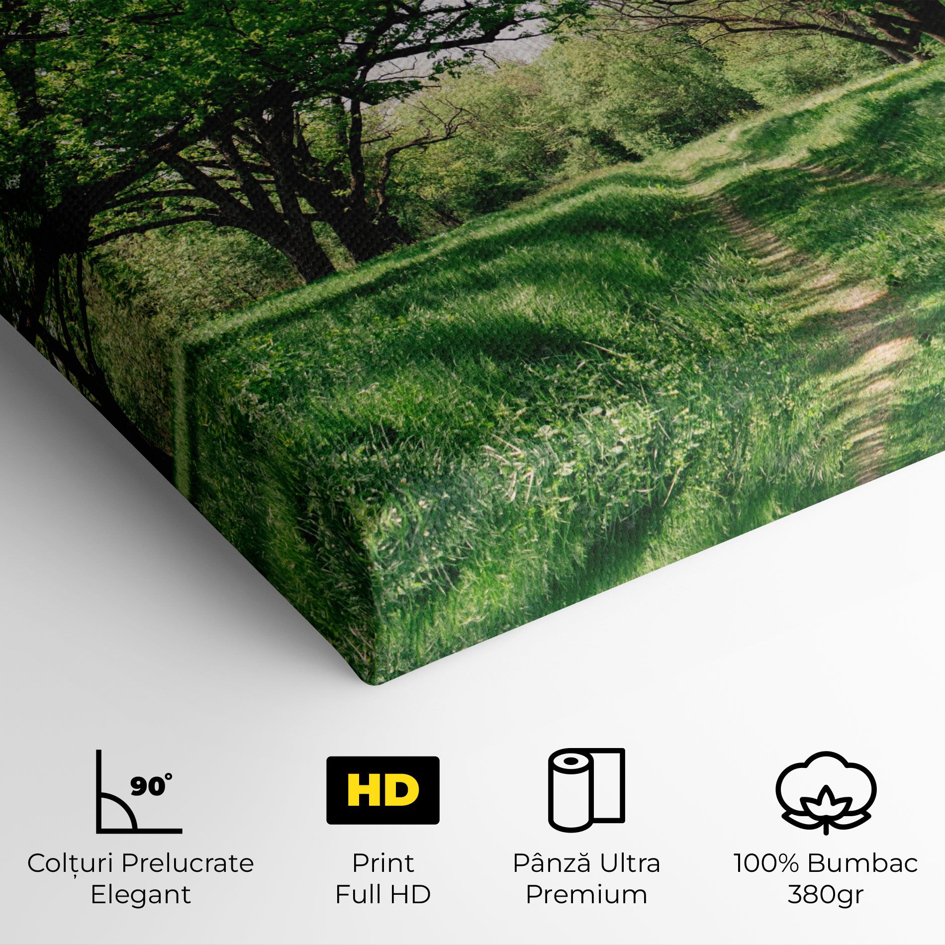 Forest Green Path mockup 4