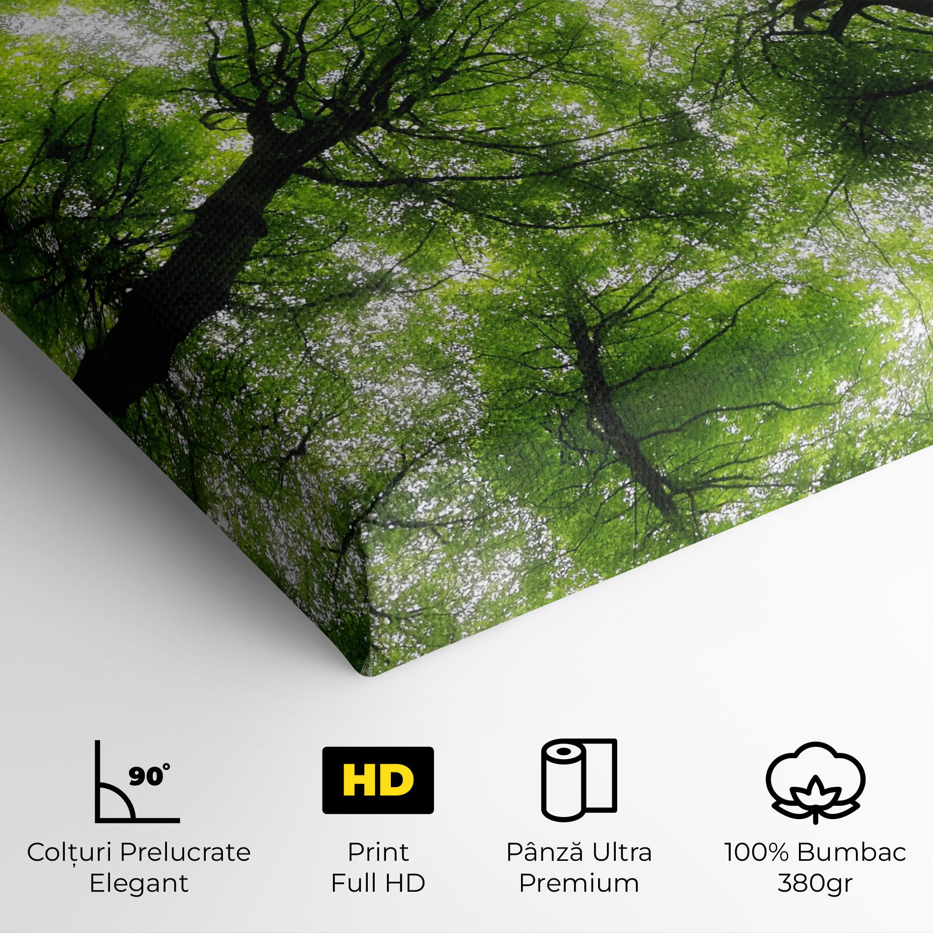 Forest Green Tree mockup 4