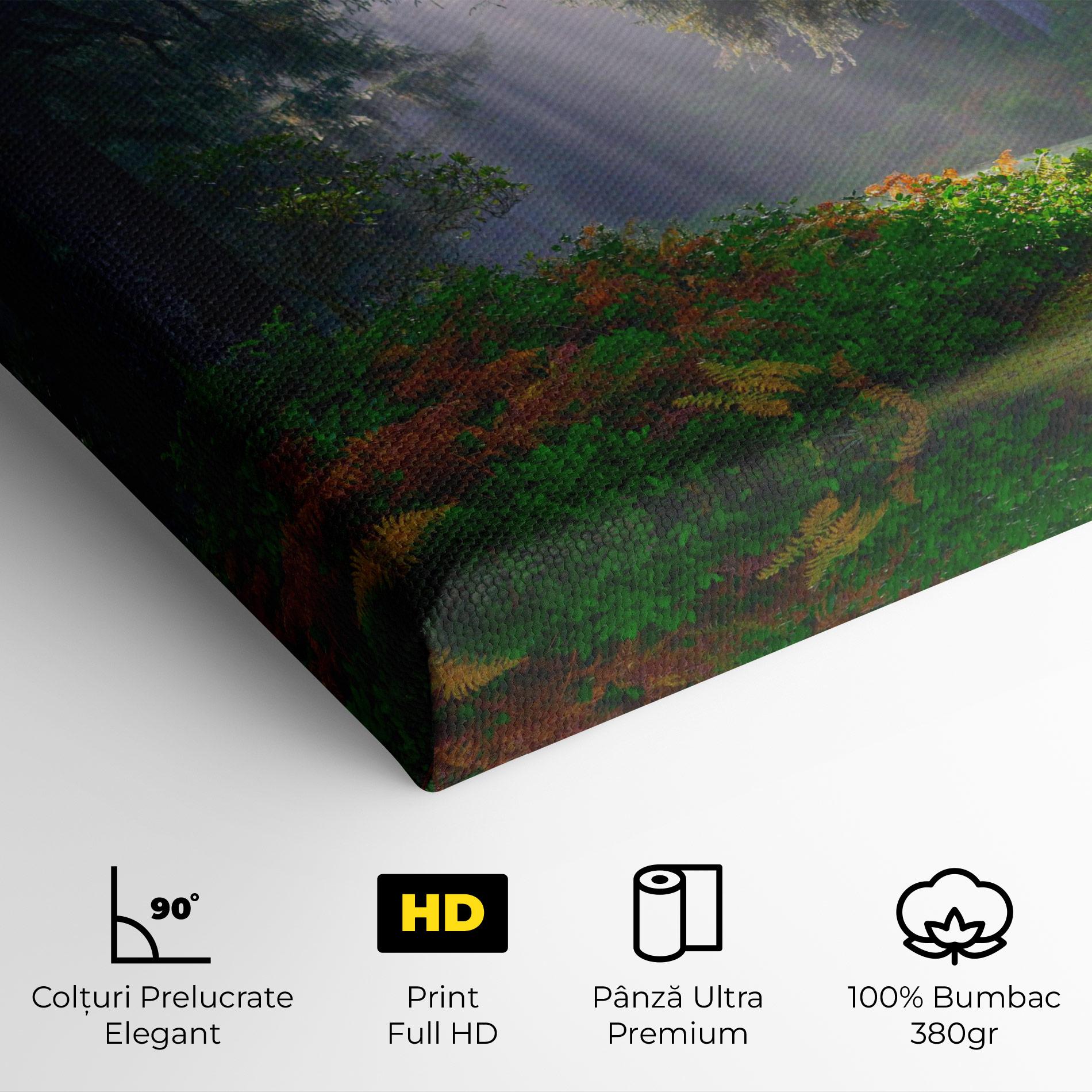 Tablou Canvas Forest Light mockup 4
