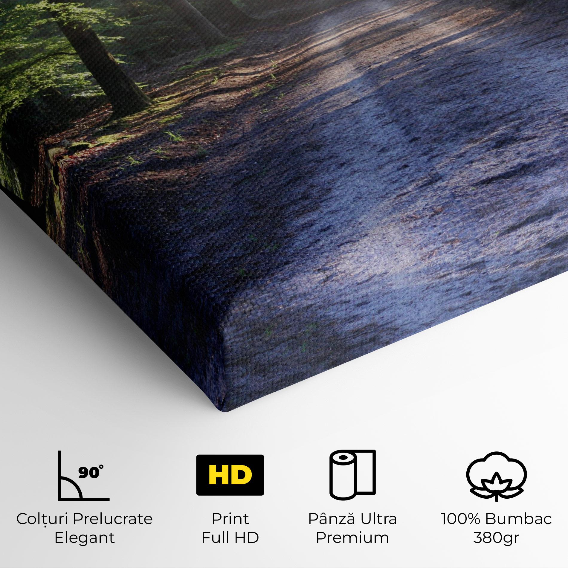 Tablou Canvas Forest Road mockup 4