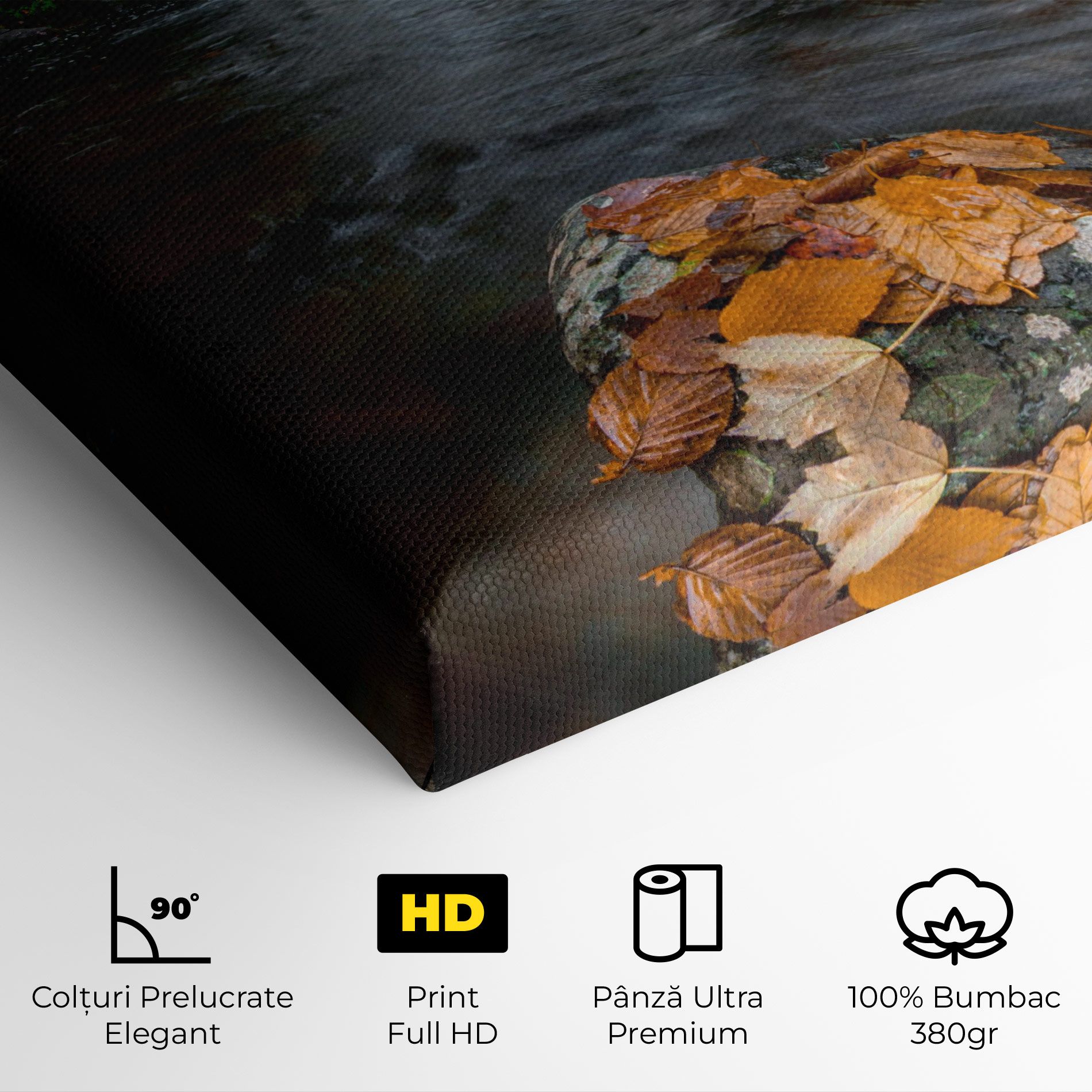 Forest Waterfall mockup 4