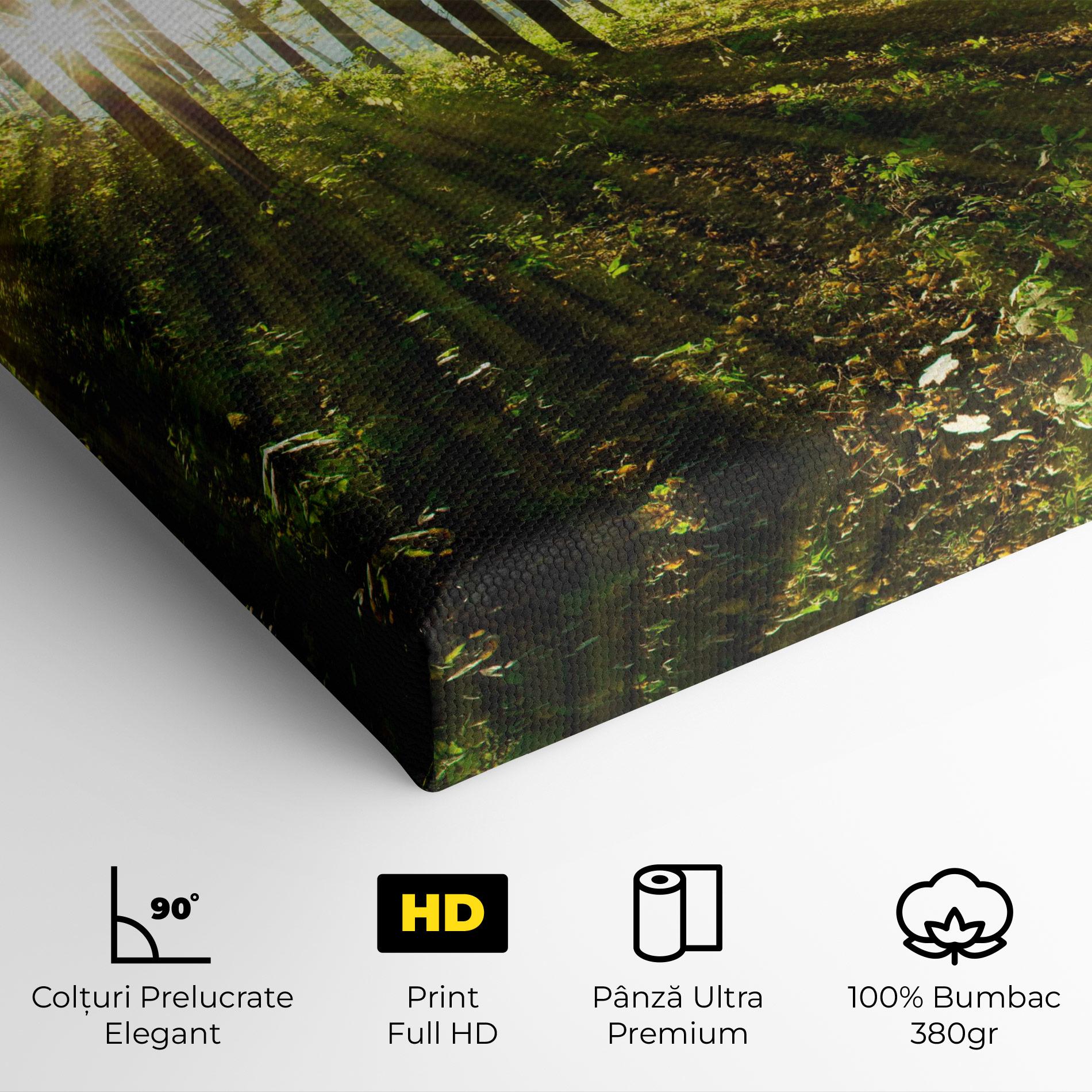 Tablou Canvas Green Light Forest mockup 4