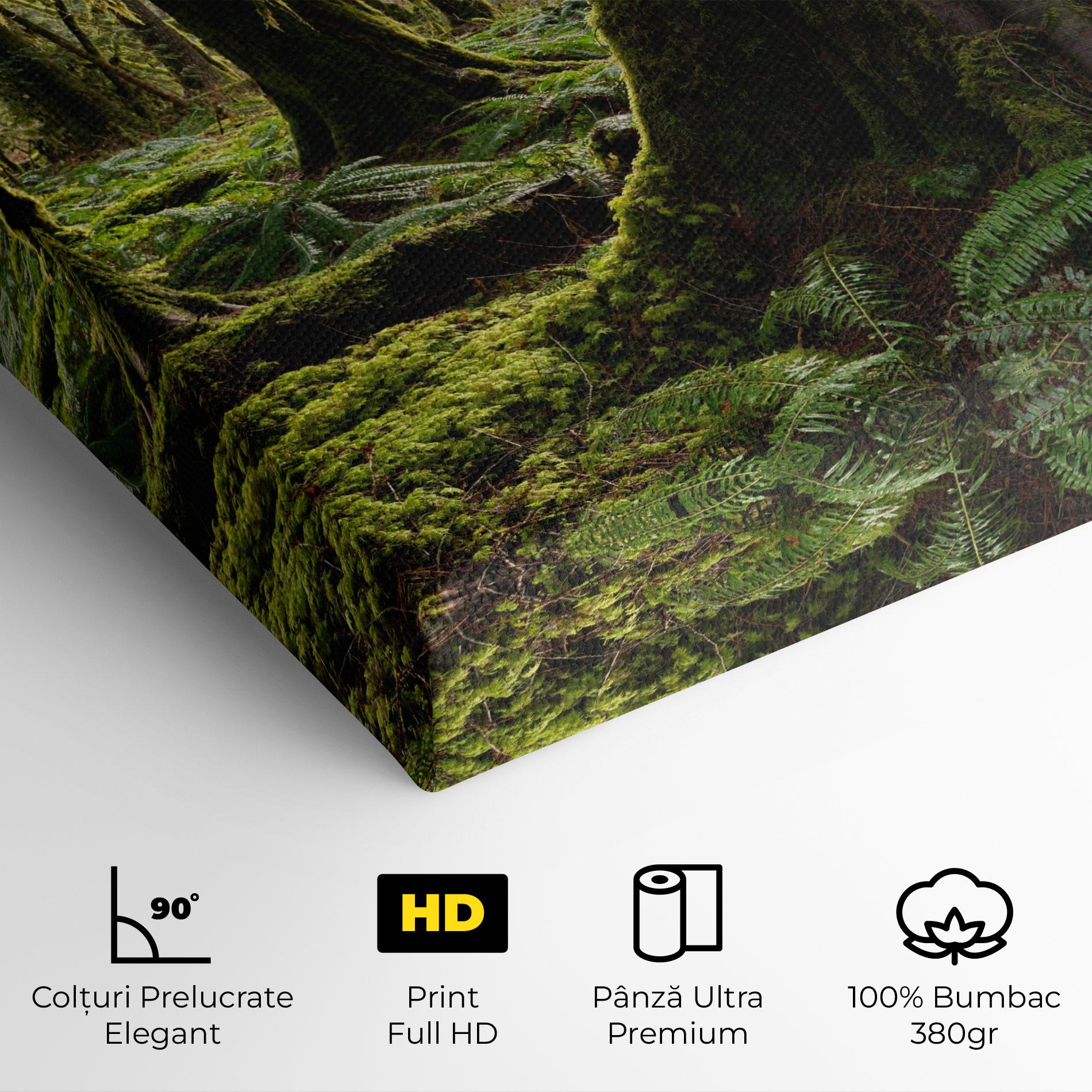 Tablou Canvas Green Moss Forest mockup 4