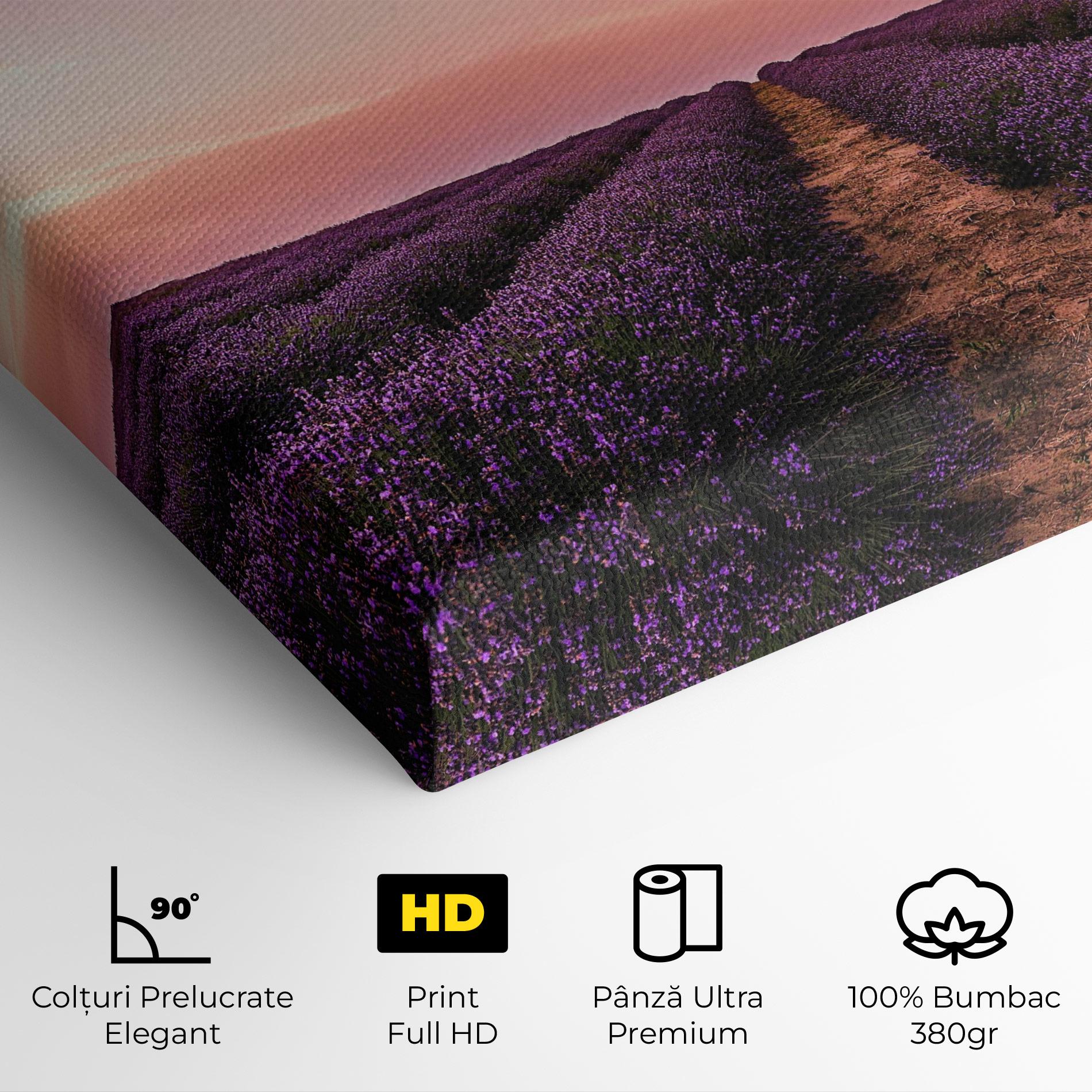 Tablou Canvas Lavender Field mockup 4