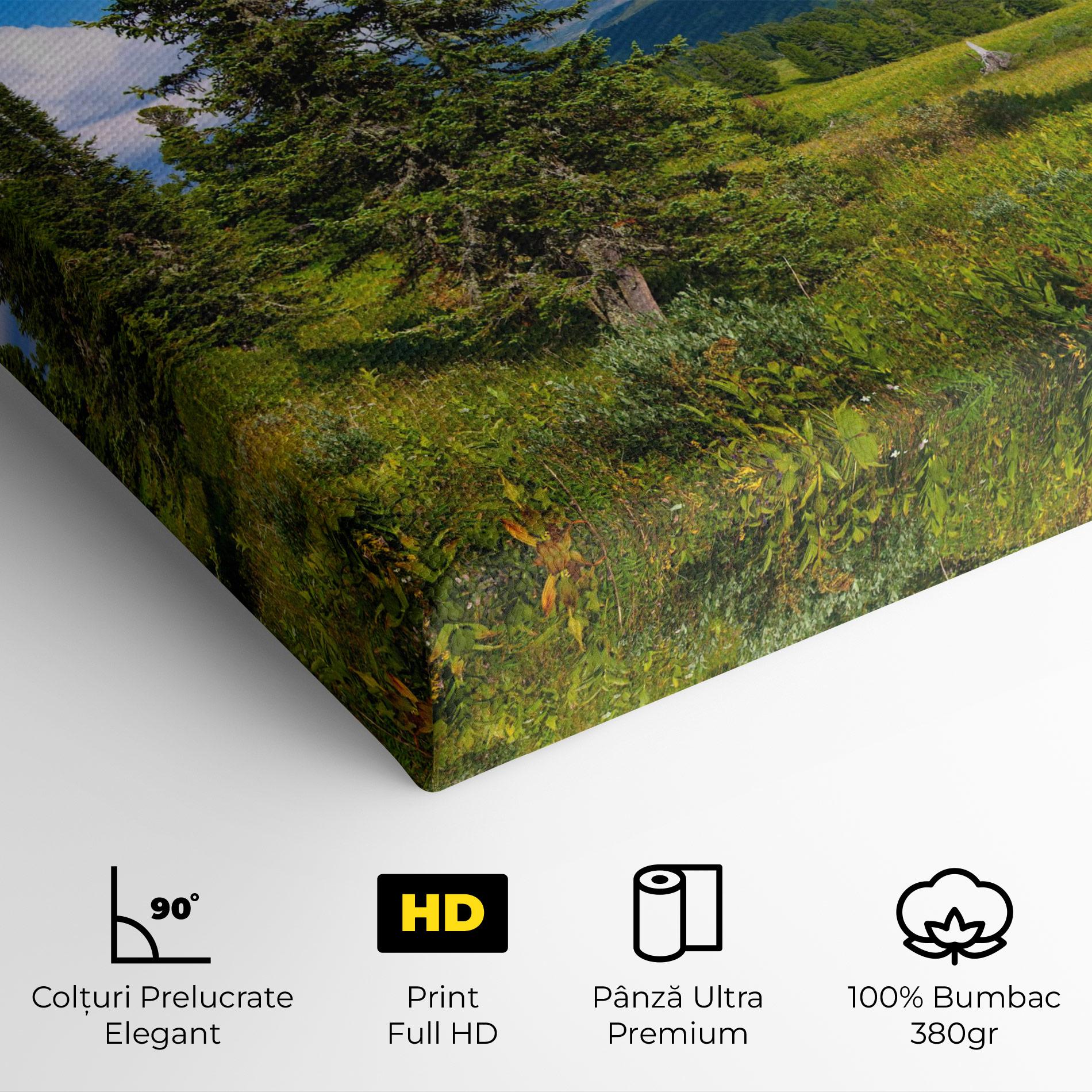 Tablou Canvas Morning Sunny Field mockup 4