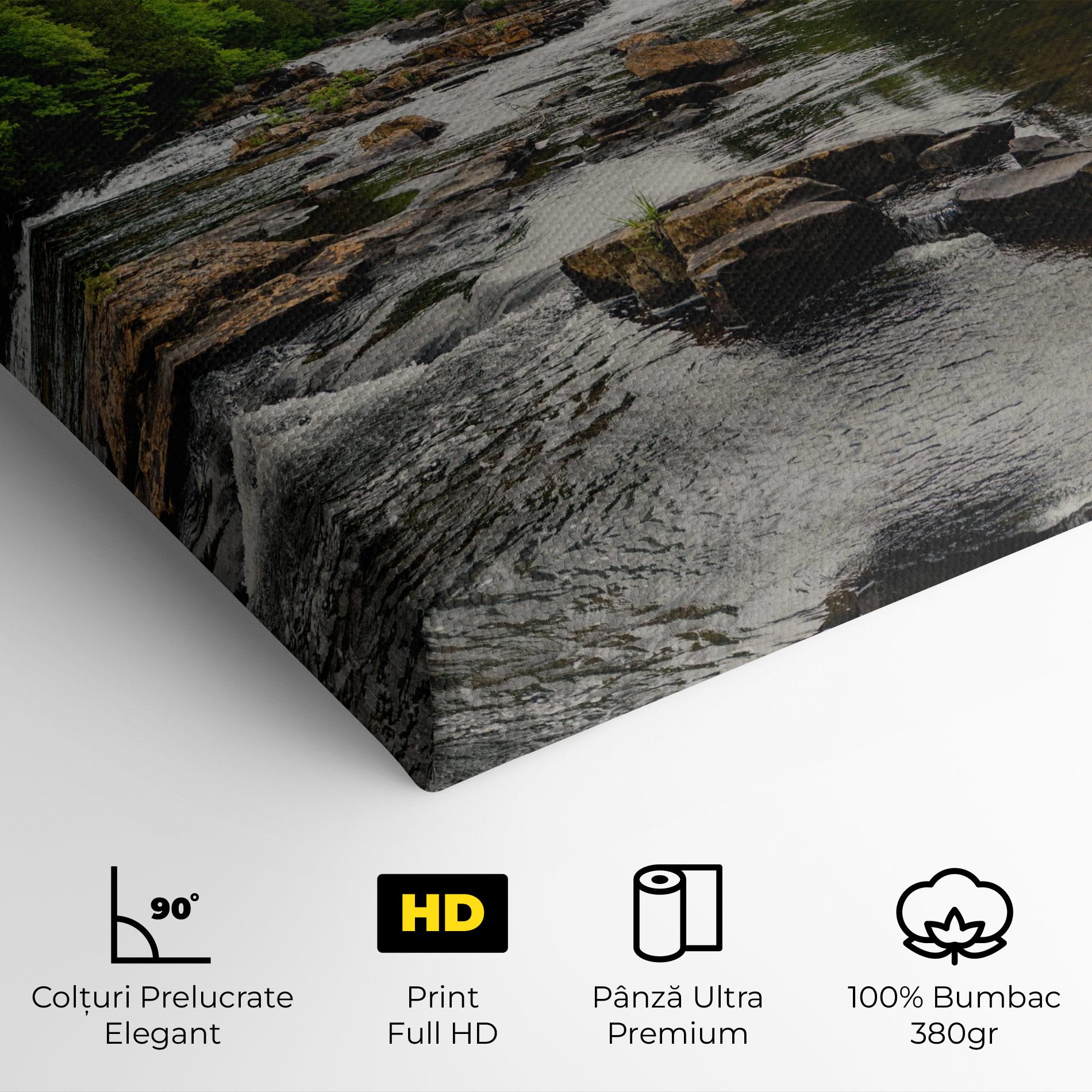 Tablou Canvas Small River Forest mockup 4