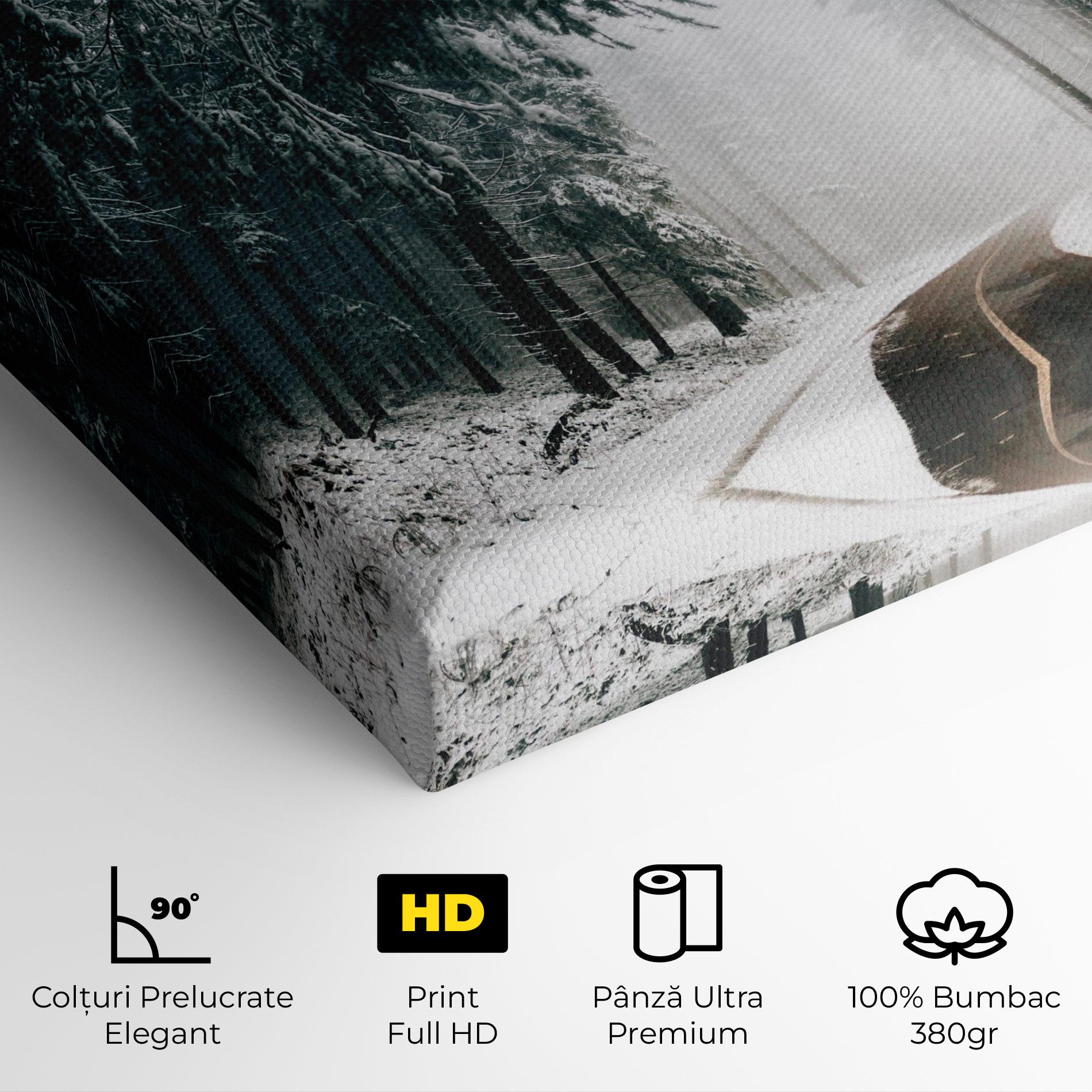 Tablou Canvas Snow Road Dorest mockup 4