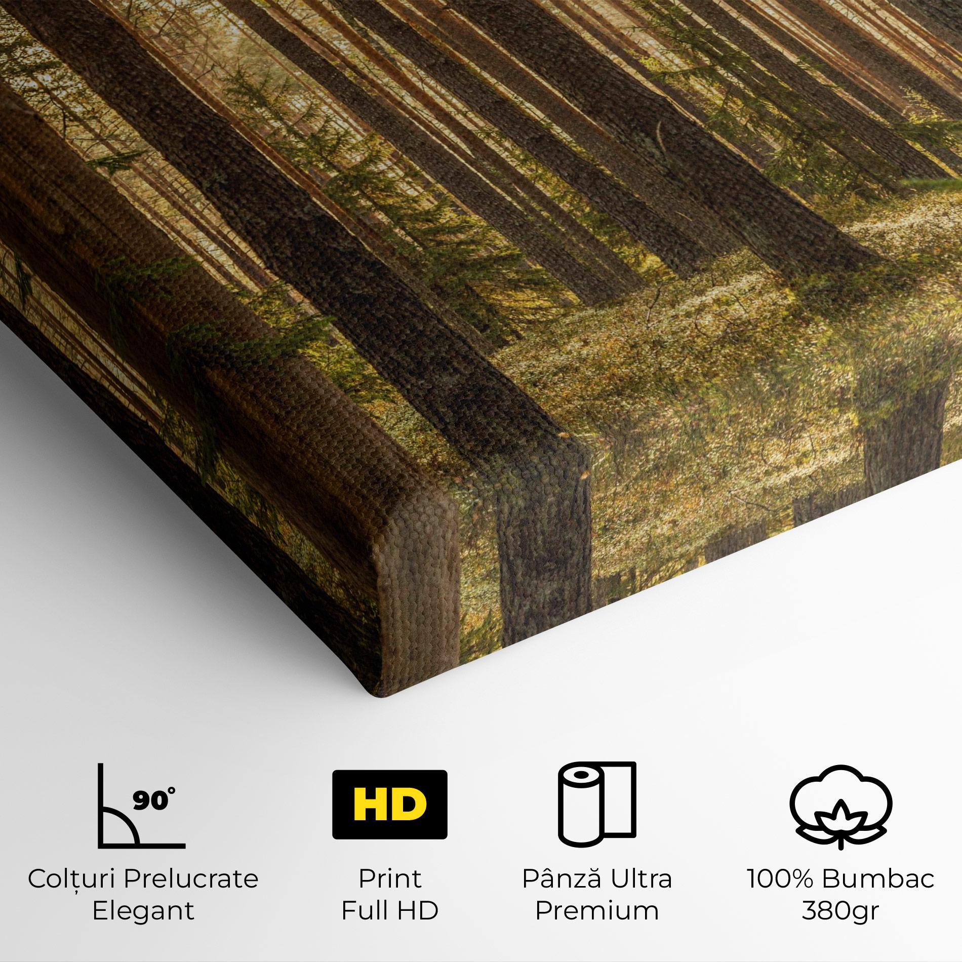 Tablou Canvas Sunrise Forest mockup 4