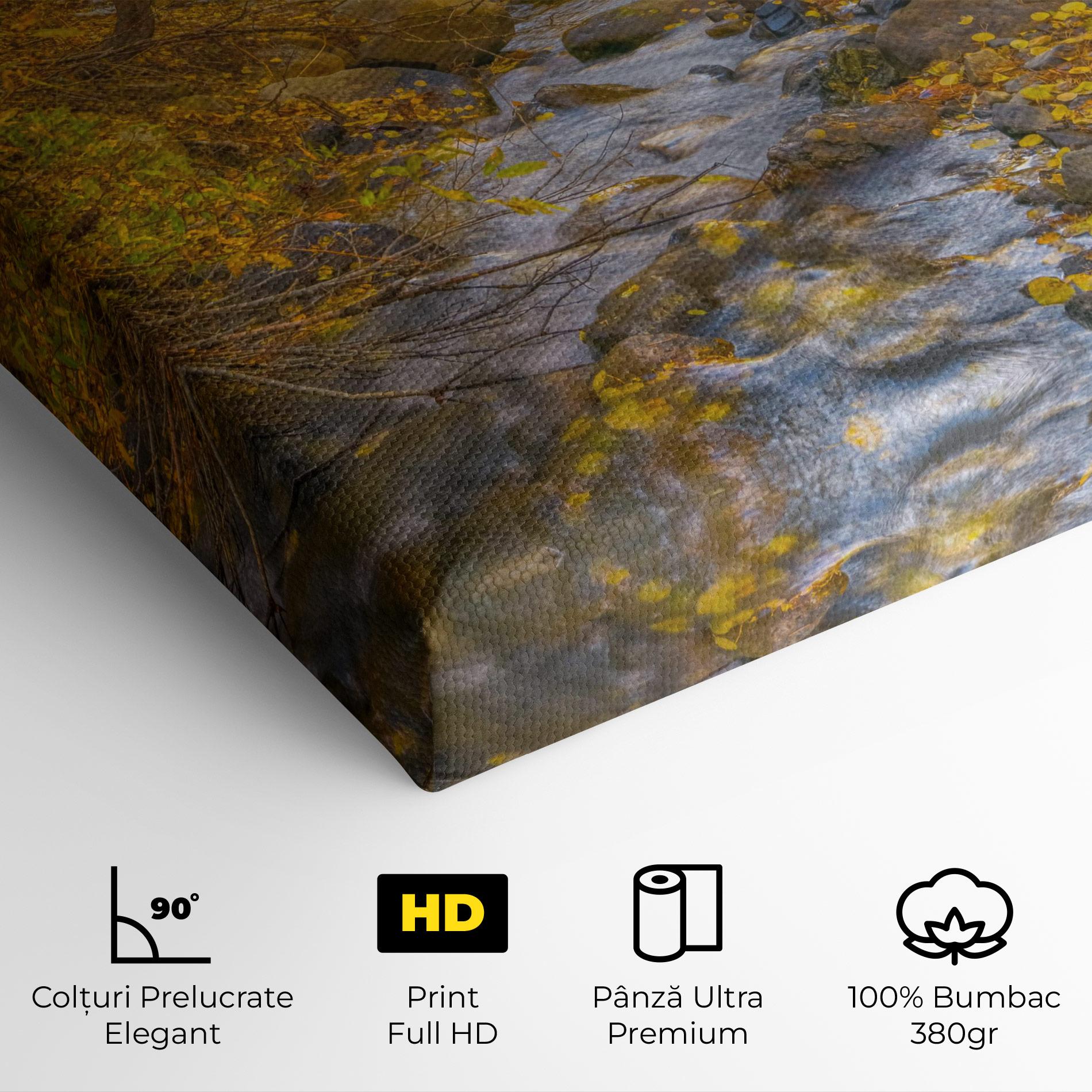 Tablou Canvas Yellow View Forest mockup 4