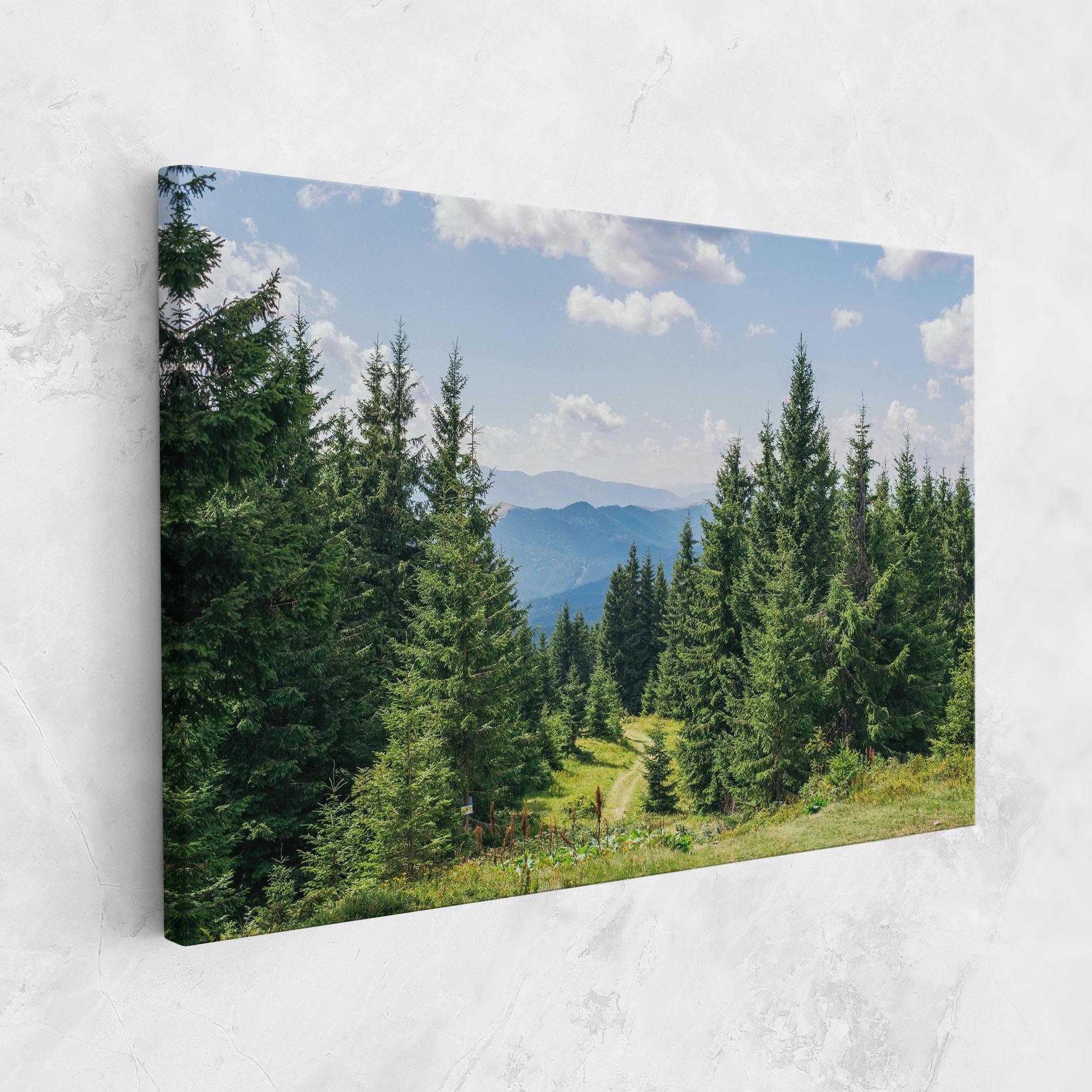Tablou Canvas Carpathian Mountain mockup 1