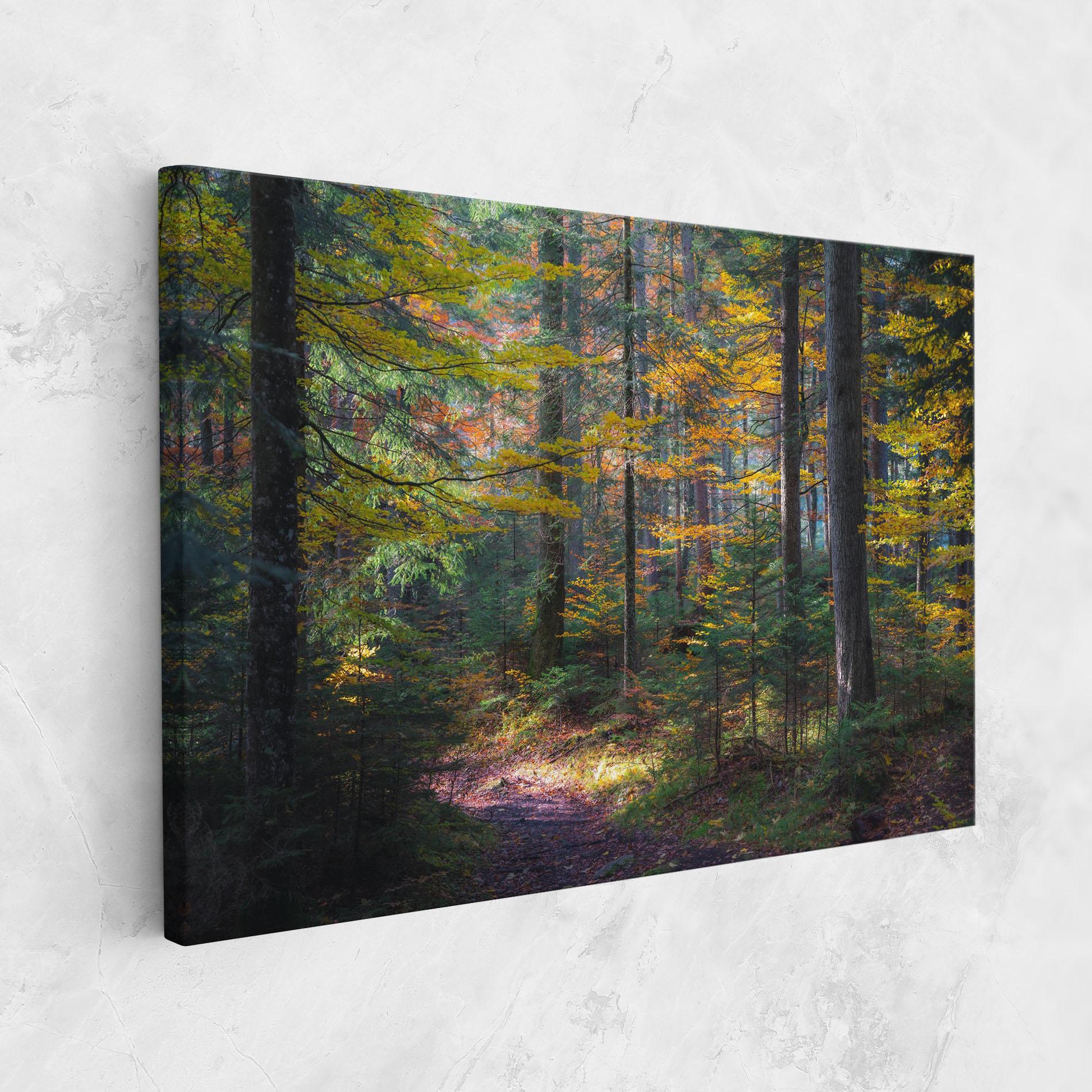 Tablou Canvas Dreamy Path Dorest mockup 1