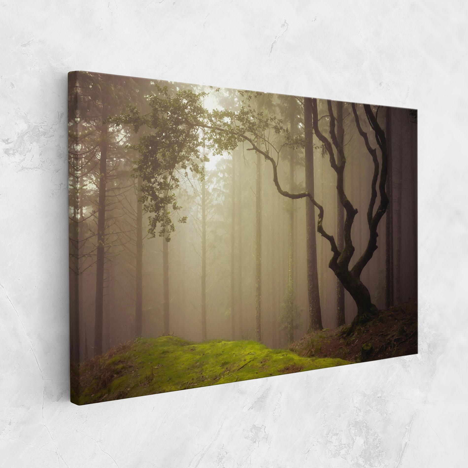 Tablou Canvas Foggy Tree Art mockup 1