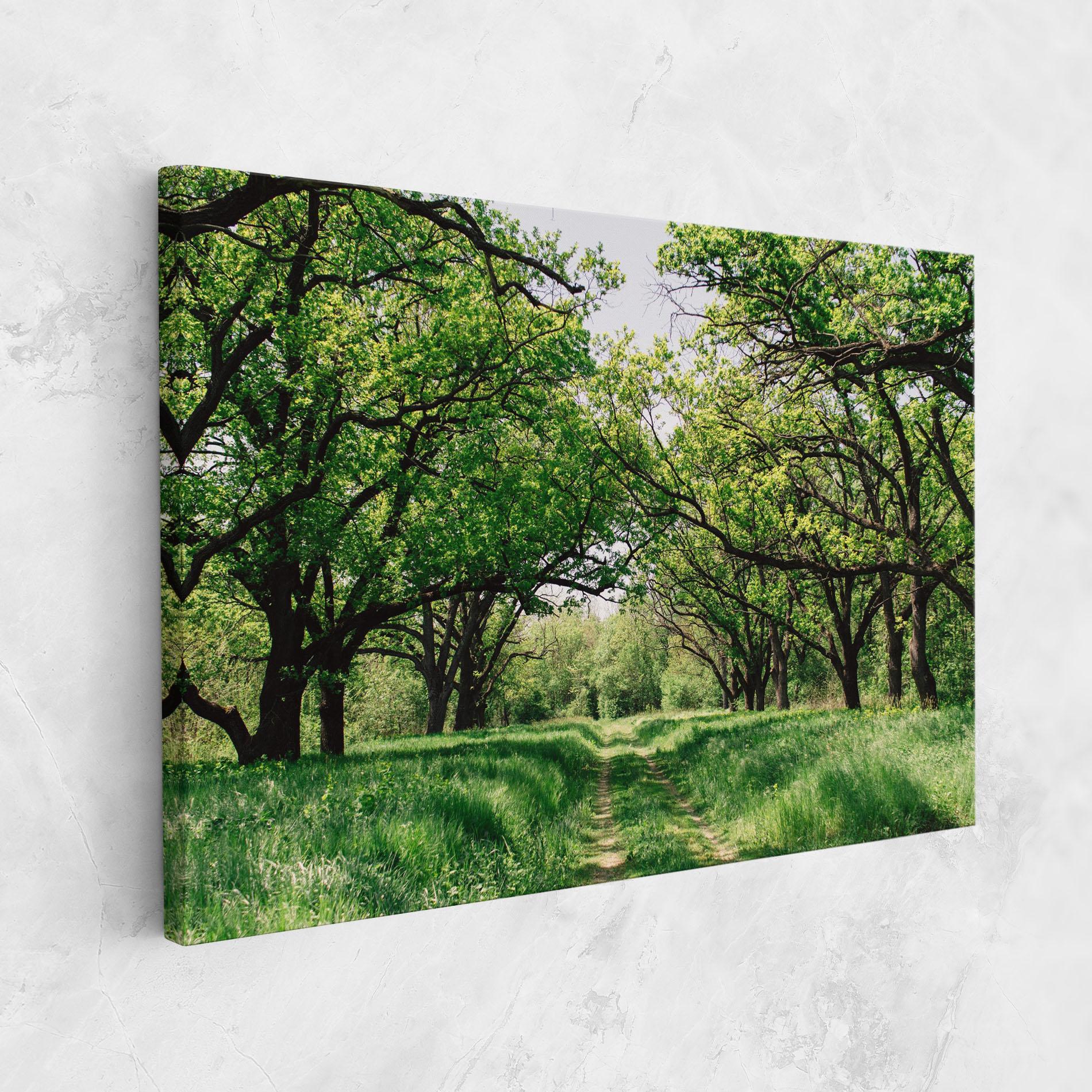 Tablou Canvas Forest Green Path mockup 1