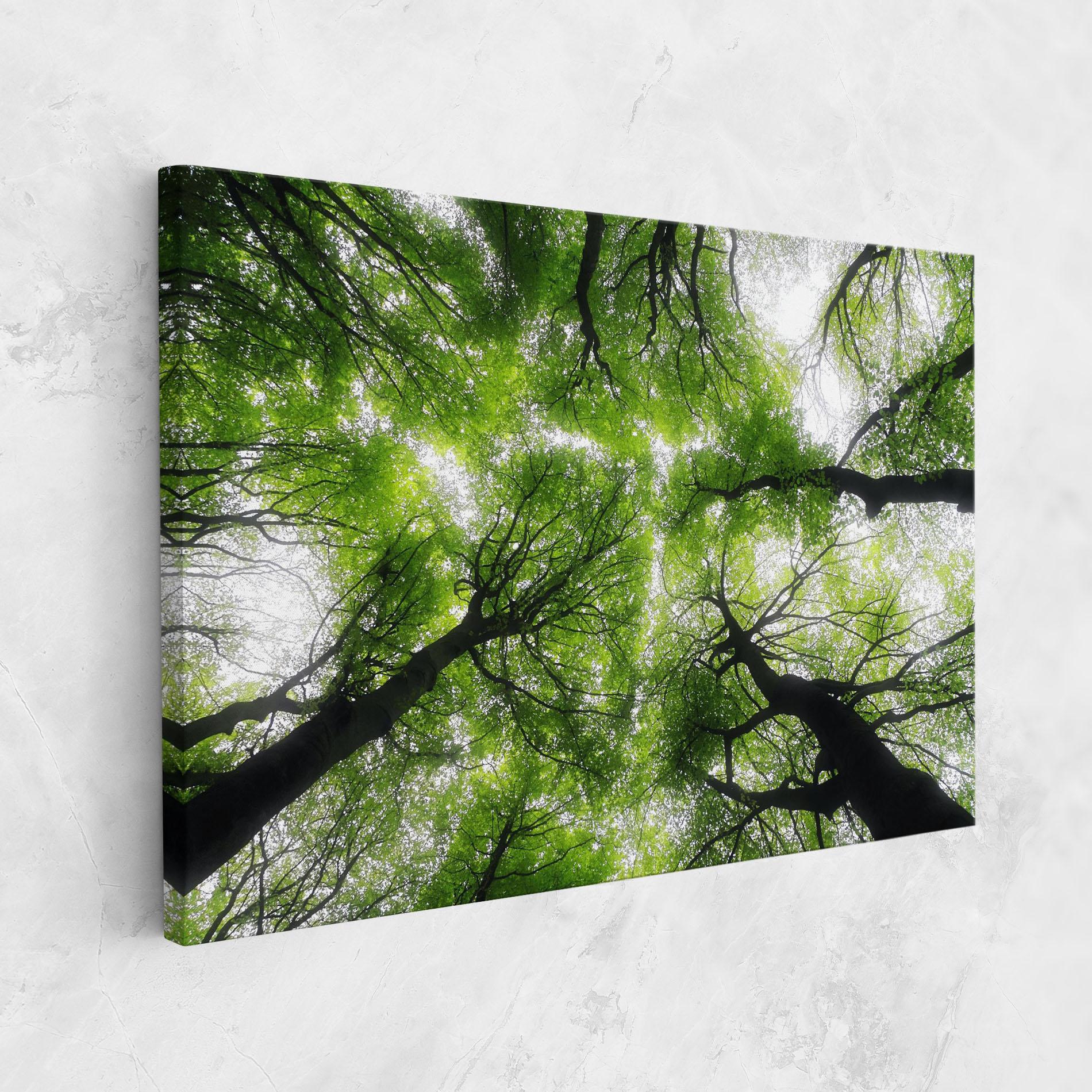 Tablou Canvas Forest Green Tree mockup 1