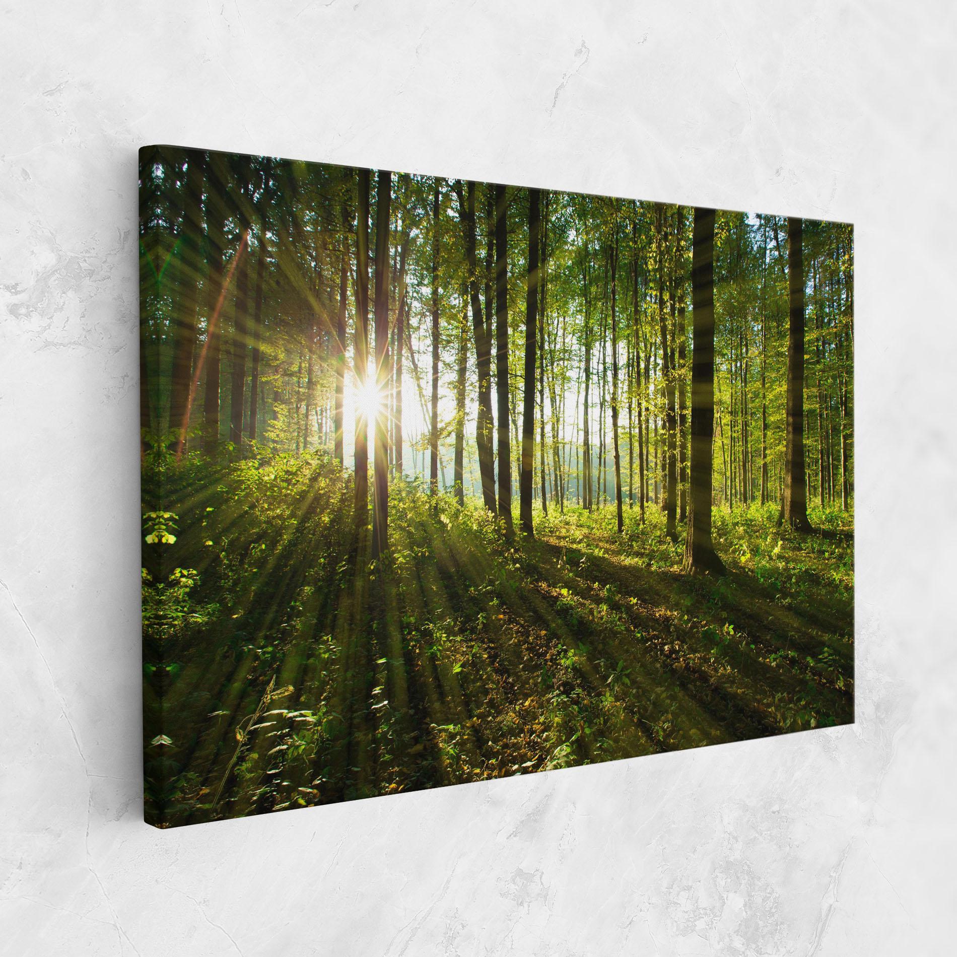 Tablou Canvas Green Light Forest mockup 1