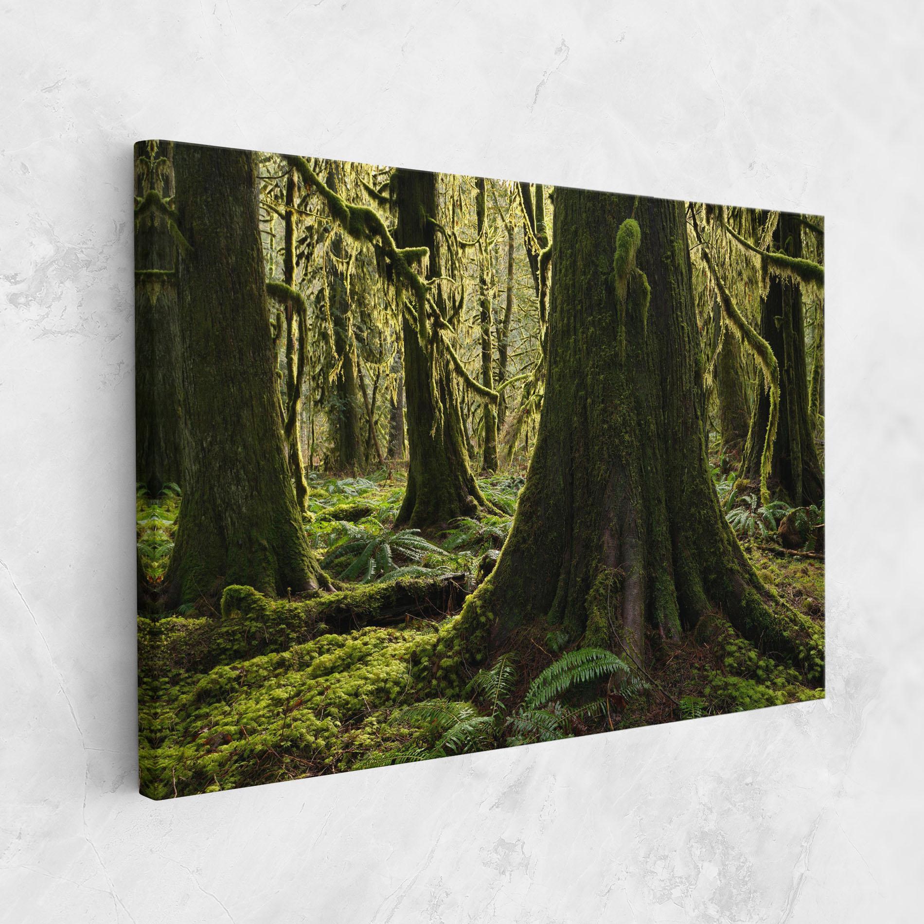 Tablou Canvas Green Moss Forest mockup 1