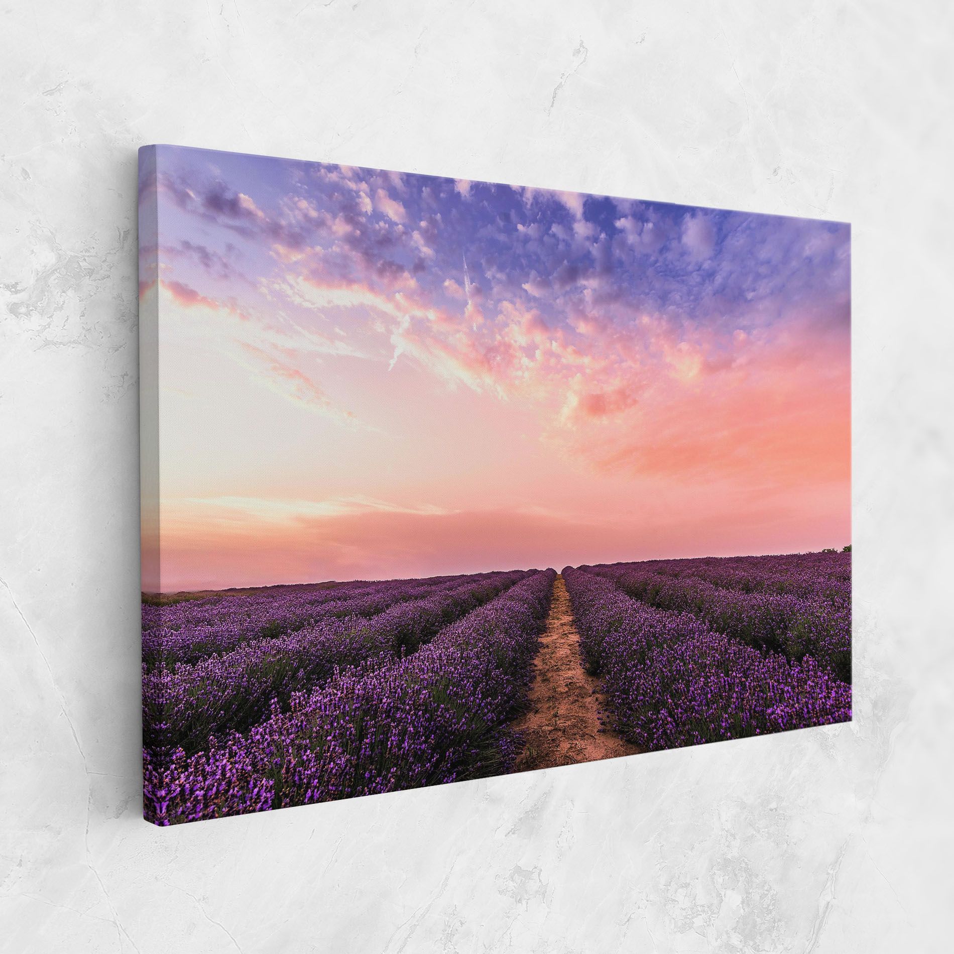 Lavender Field mockup 1