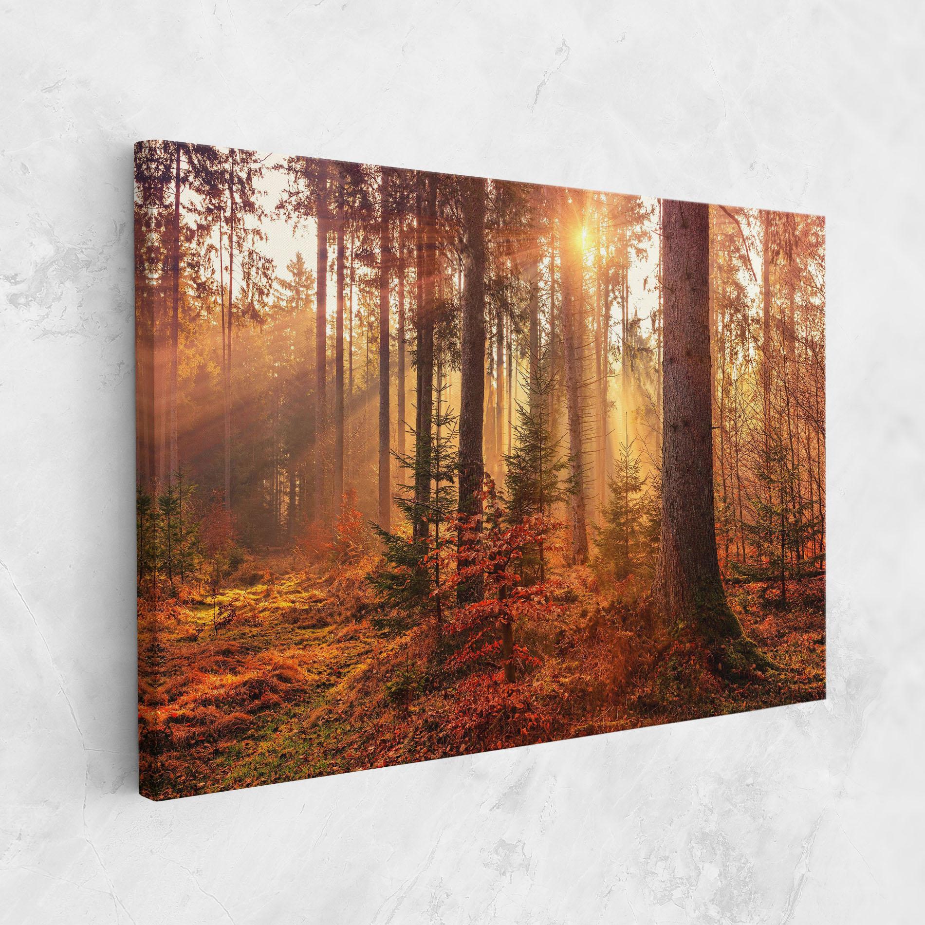 Tablou Canvas Orange Light Forest mockup 1