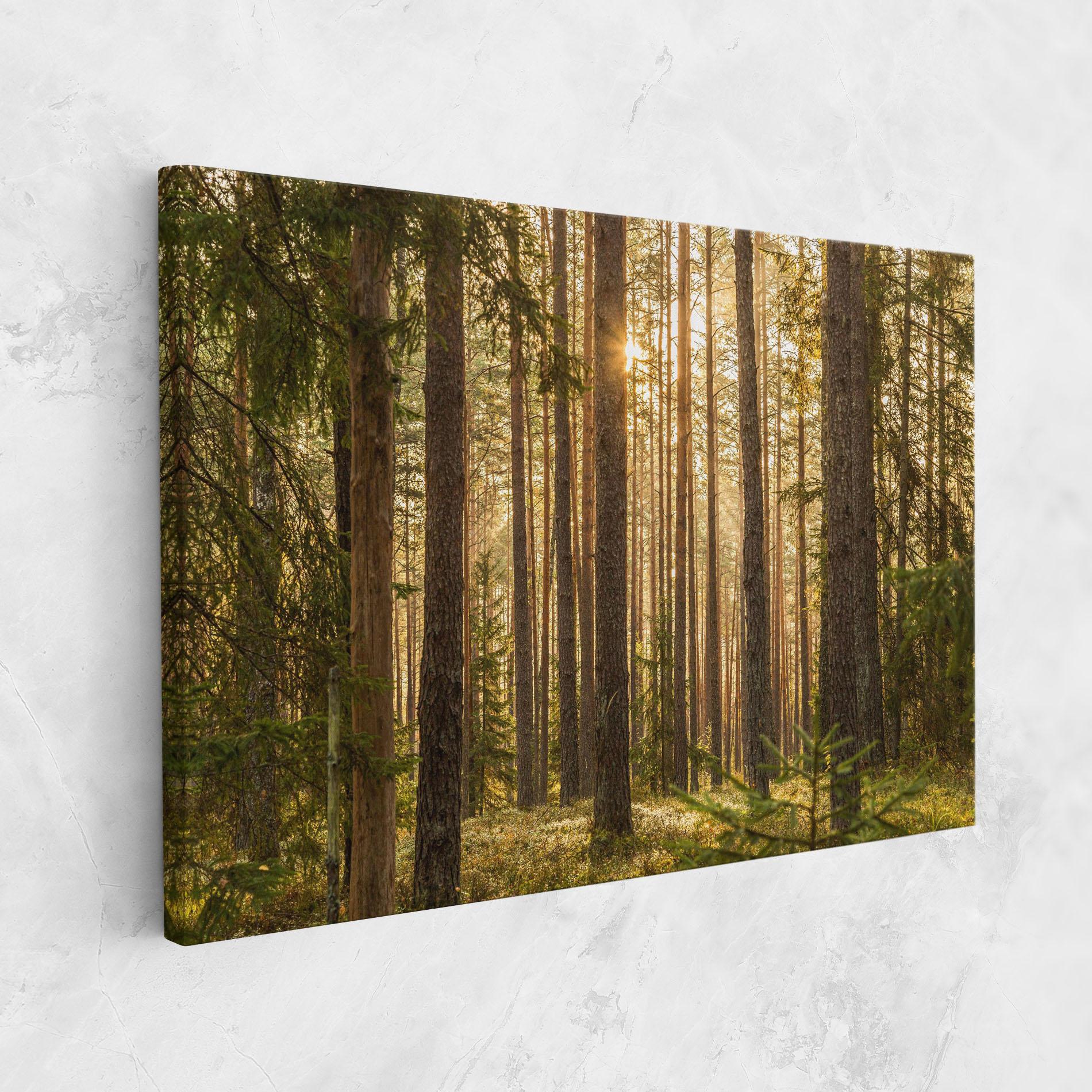 Tablou Canvas Sunrise Forest mockup 1