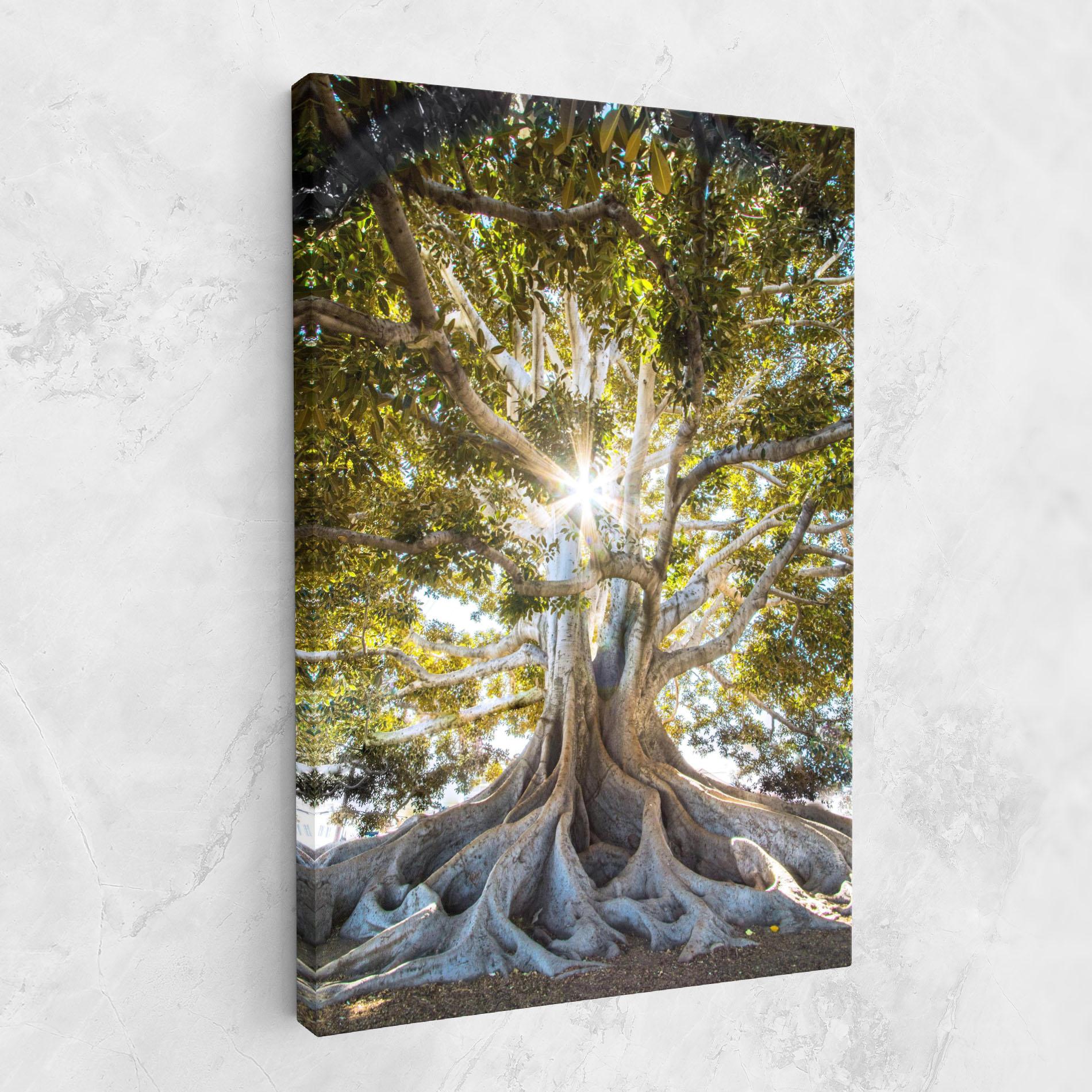 Tablou Canvas Big Old Tree mockup 1
