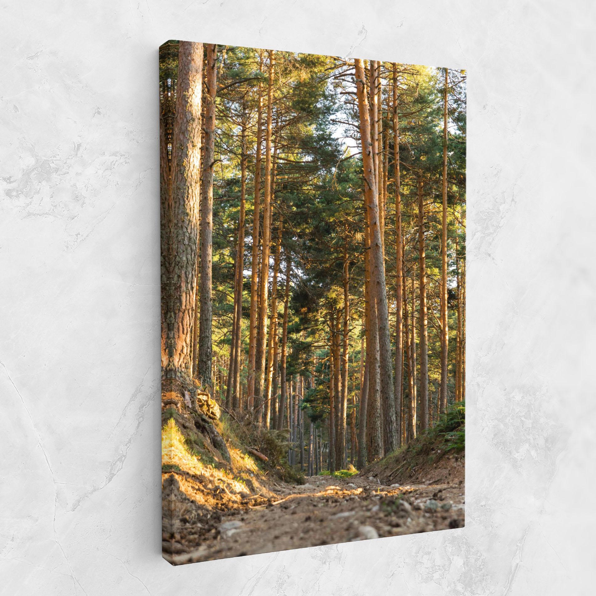Tablou Canvas Big Trees Forest mockup 1