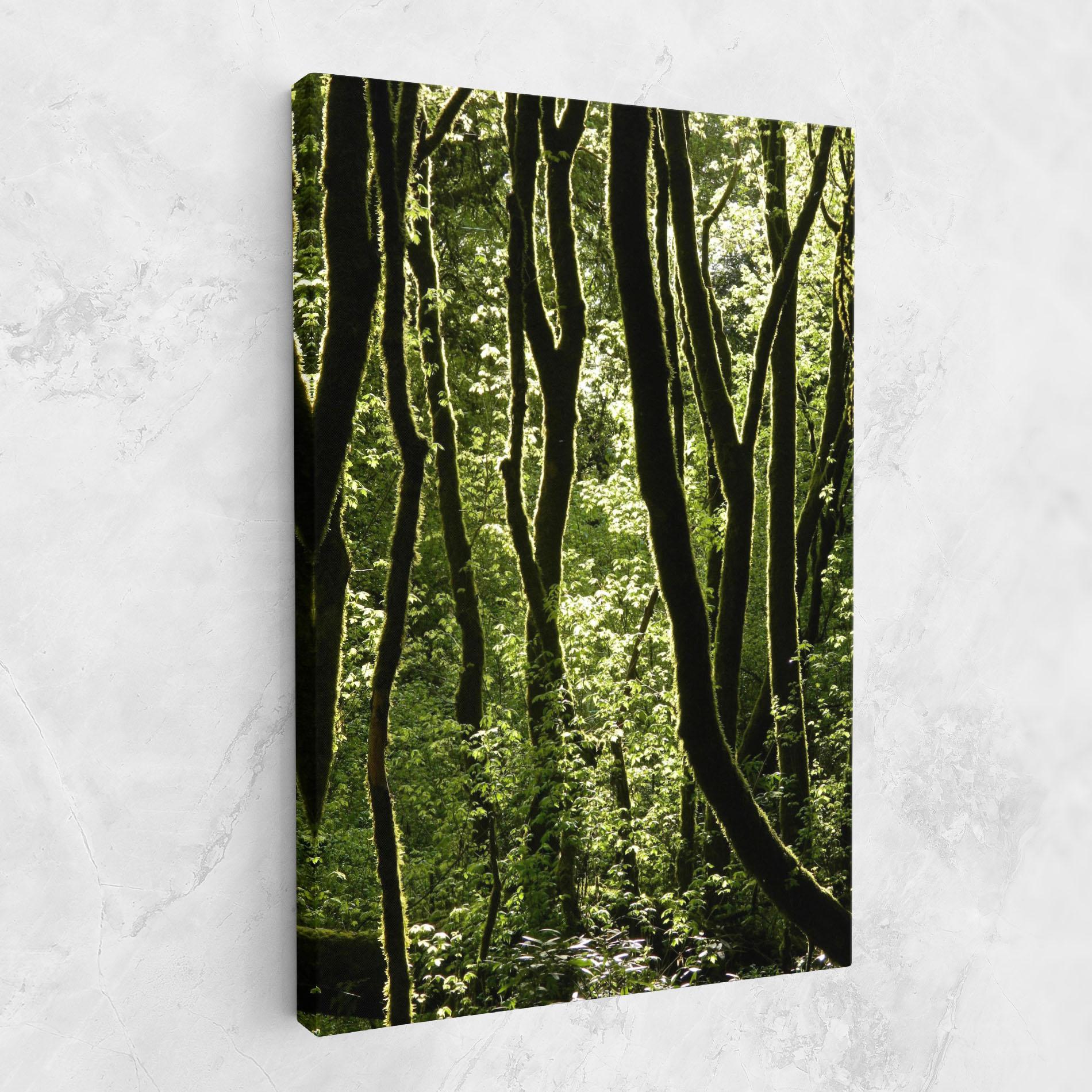Tablou Canvas Forest Black Trees mockup 1