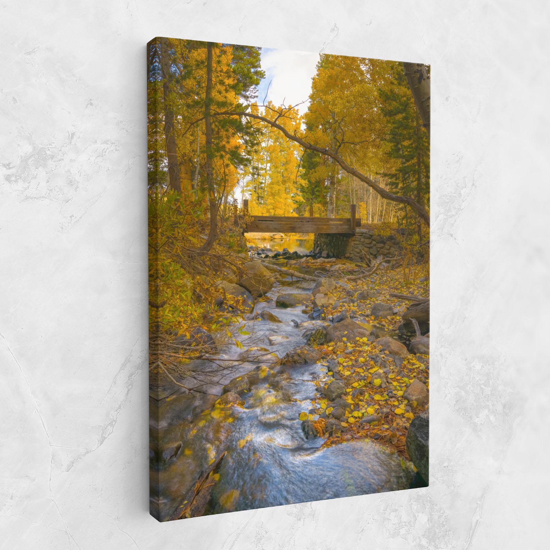 Tablou Canvas Yellow View Forest mockup 1