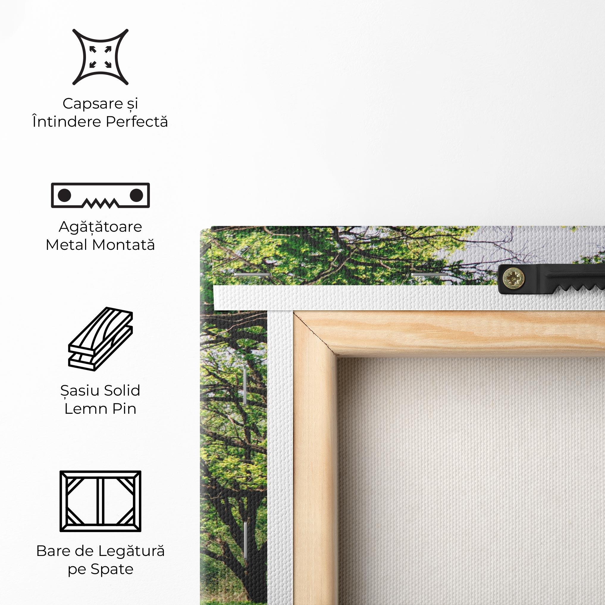 Tablou Canvas Forest Green Path mockup 5