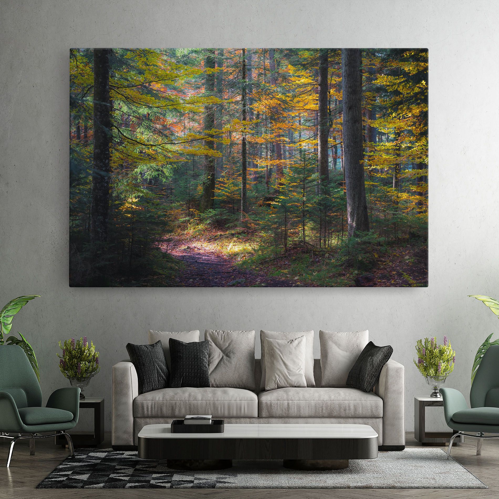 Dreamy Path Dorest mockup 7