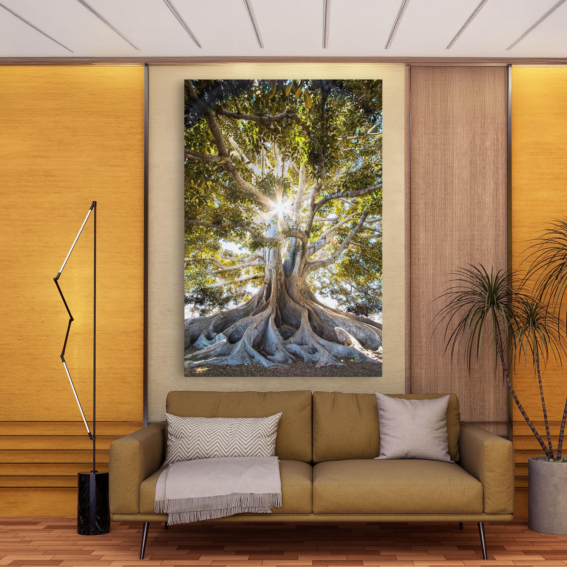 Tablou Canvas Big Old Tree mockup 9