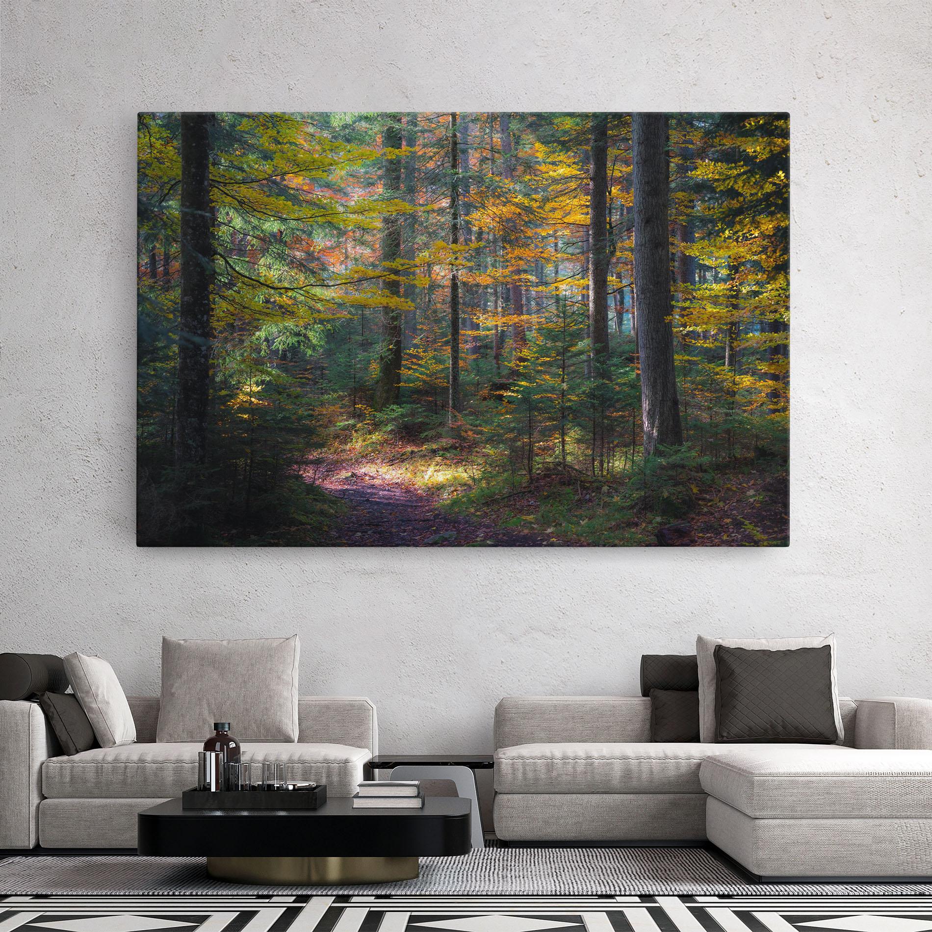 Tablou Canvas Dreamy Path Dorest mockup 2