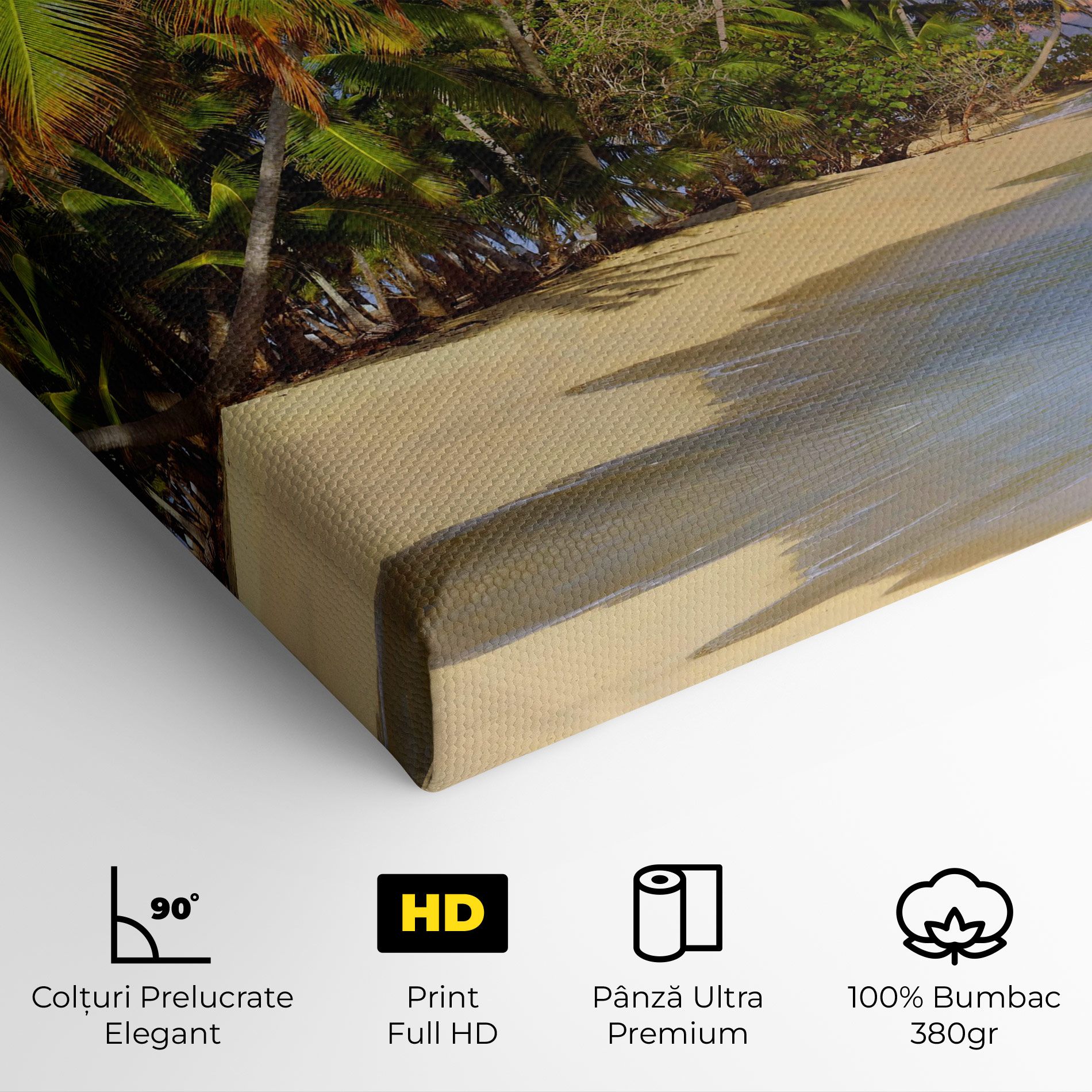 Coconut Tree Sunset mockup 4