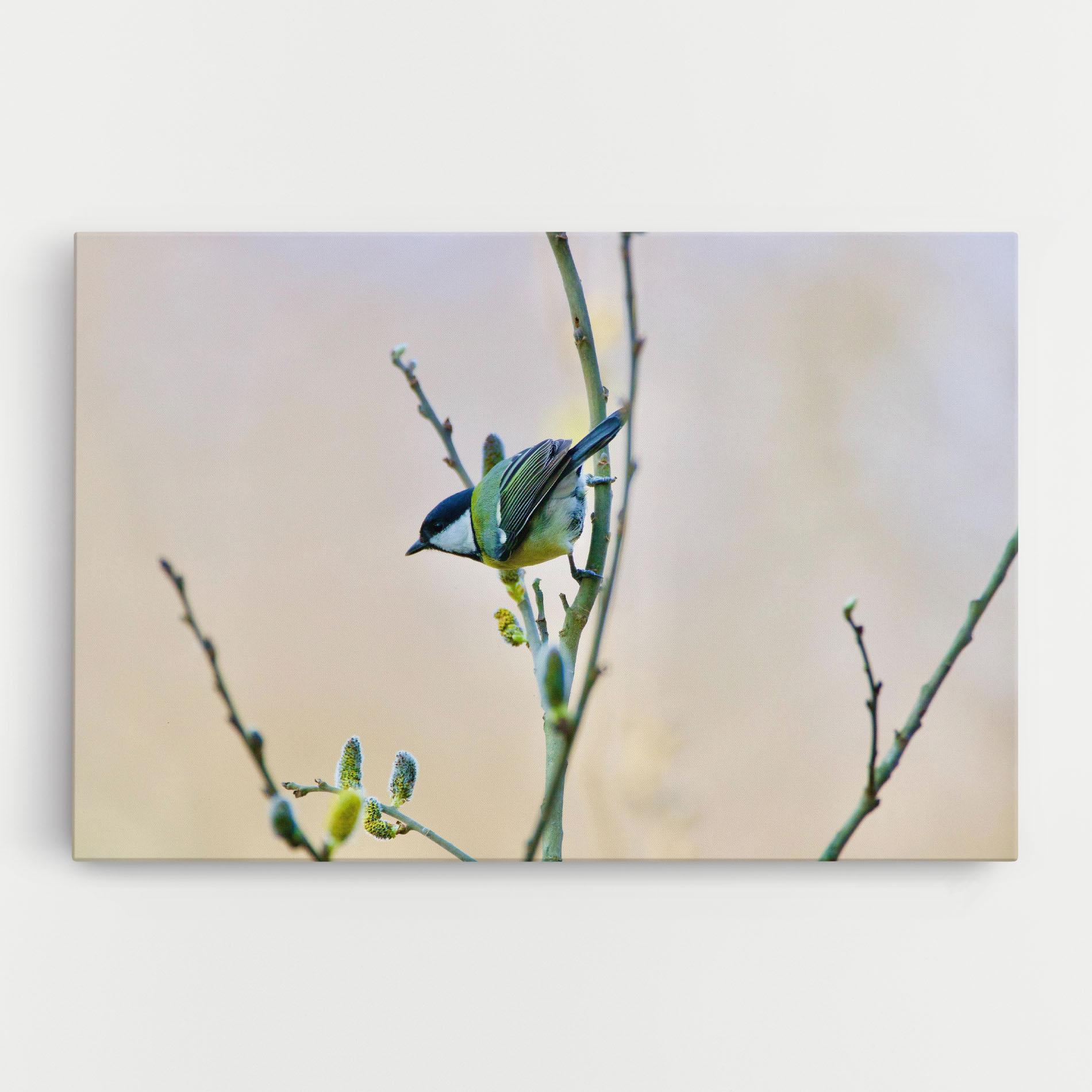 Tablou Canvas Beautiful Spring Bird mockup 0