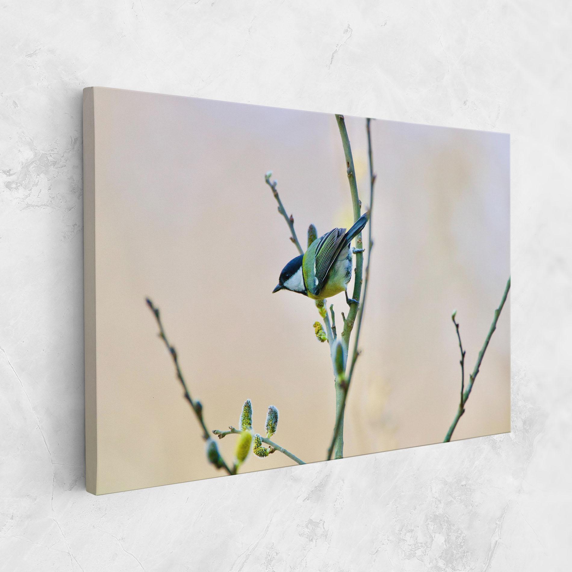 Tablou Canvas Beautiful Spring Bird mockup 1