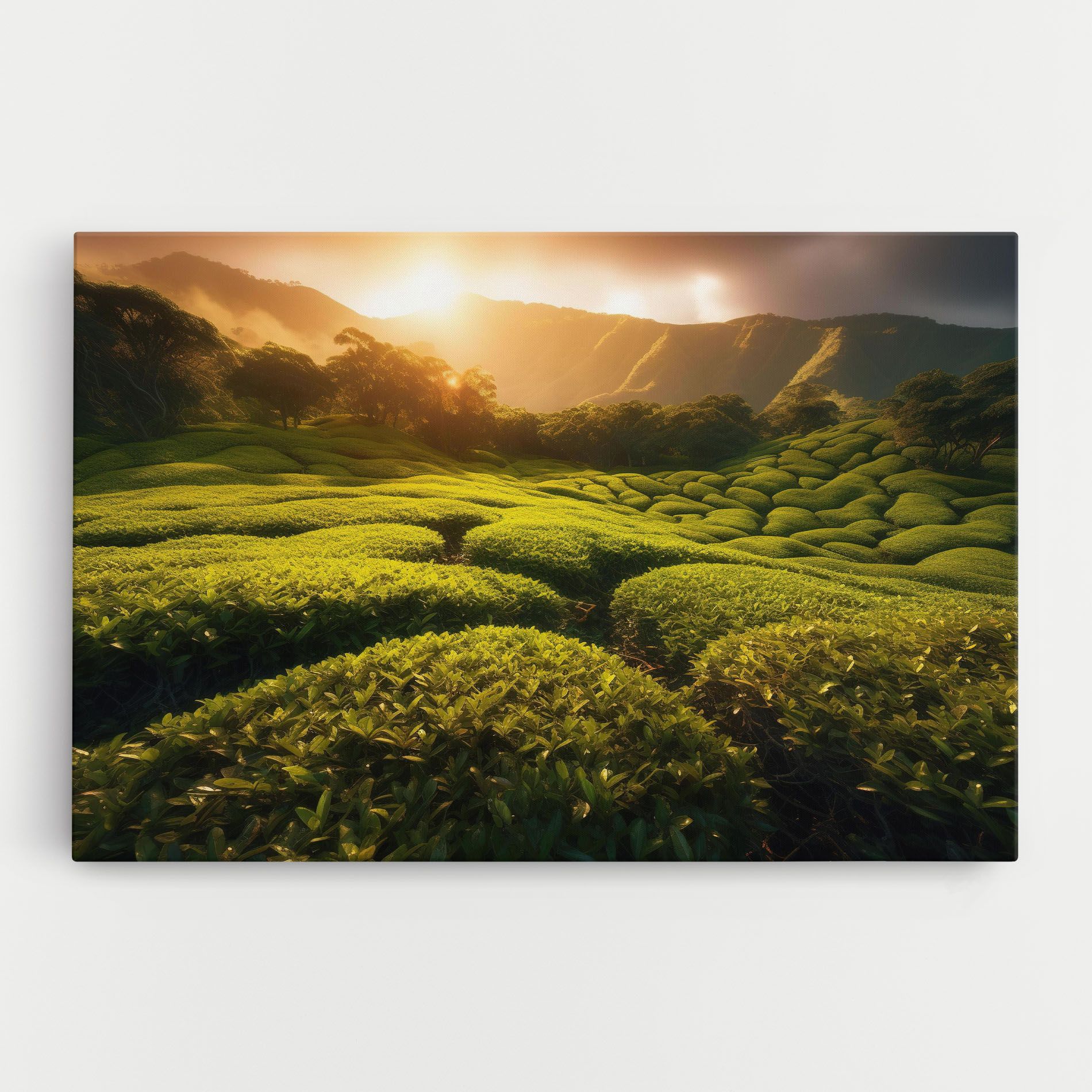 Tea Fields mockup 0