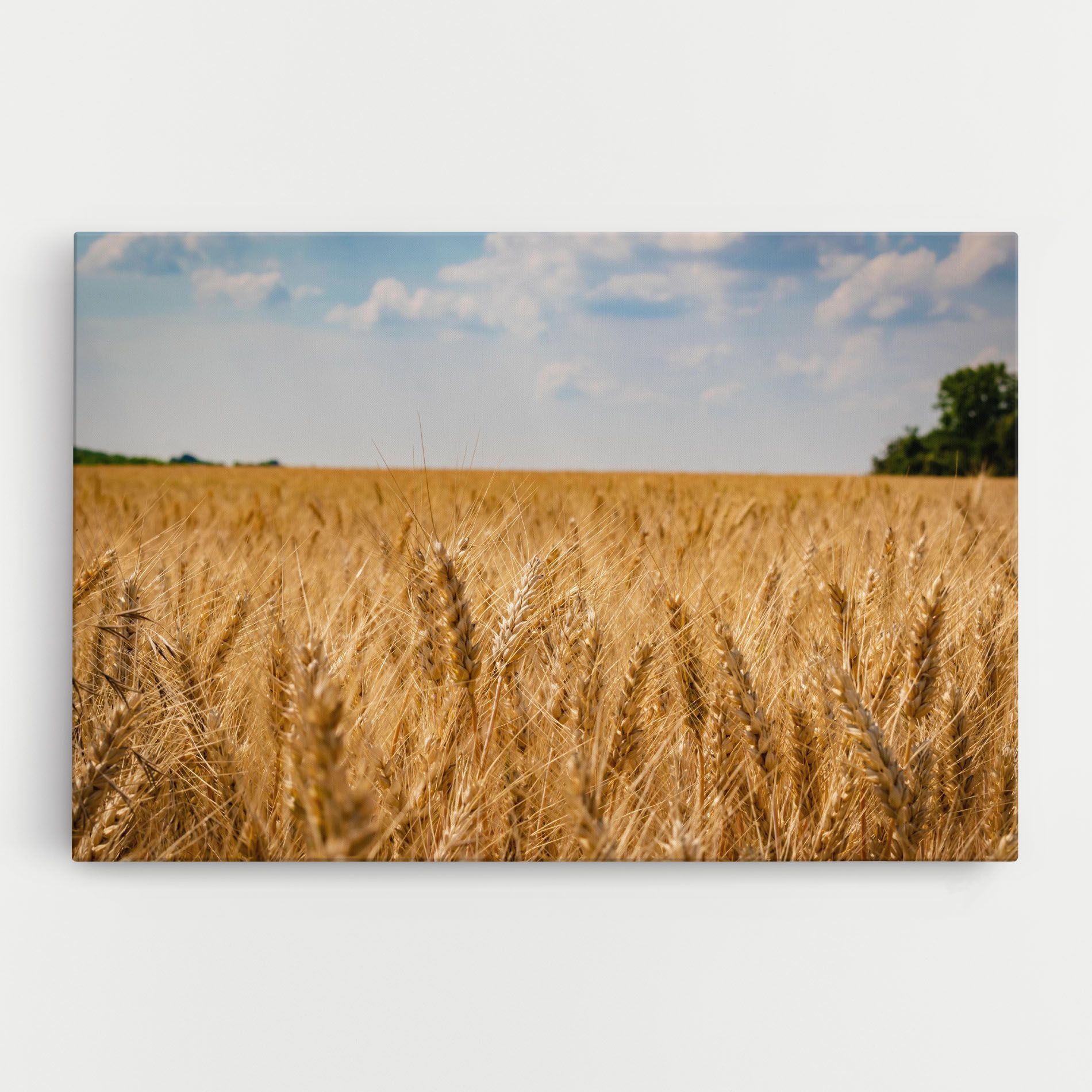 Wheat Land View mockup 0