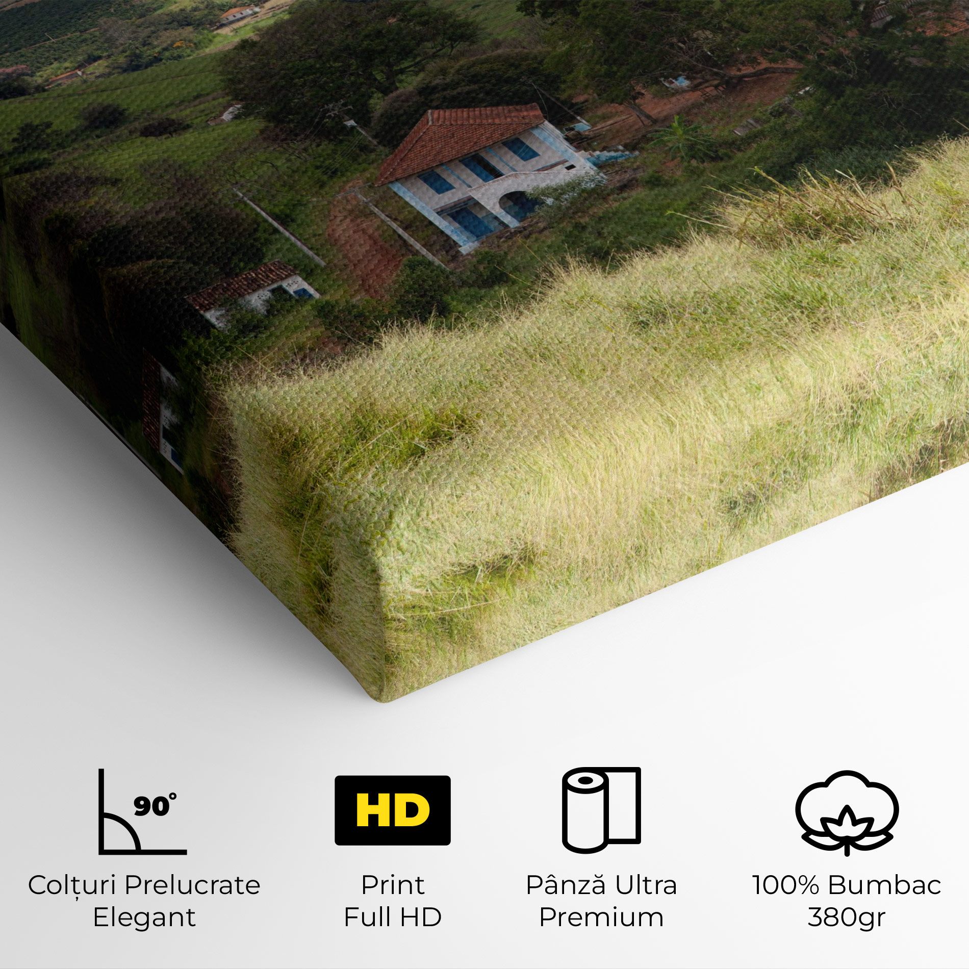 Green Countryside mockup 4