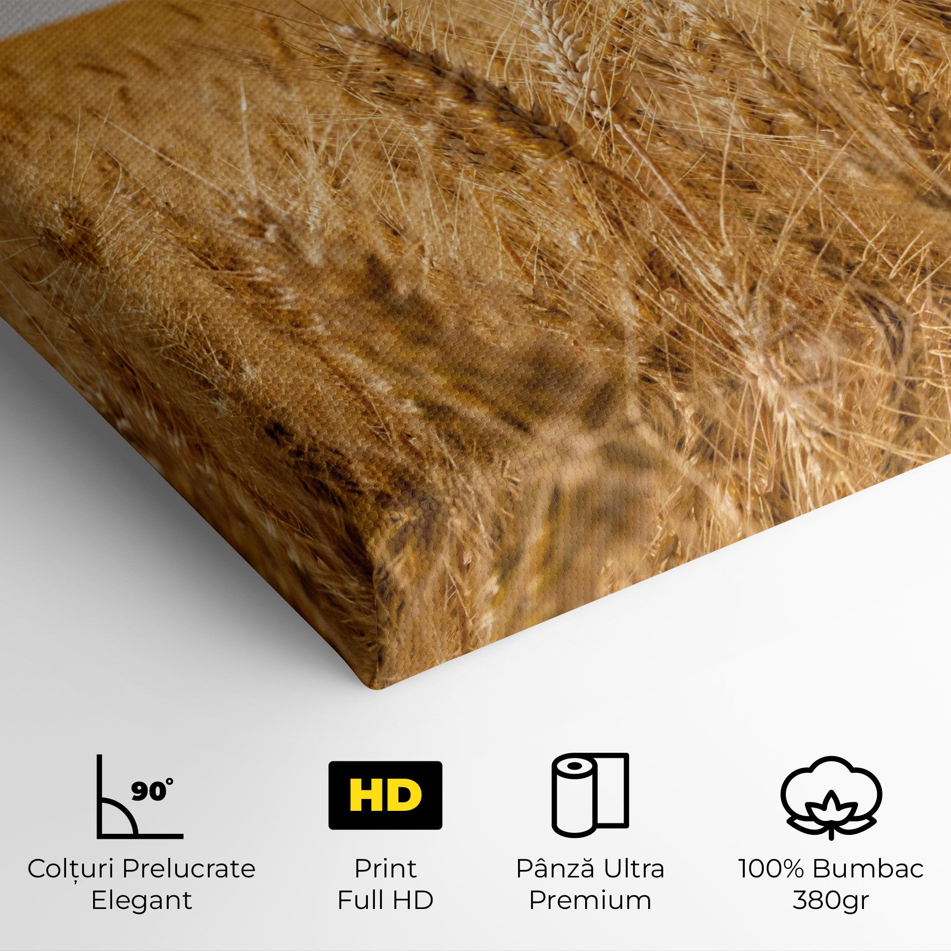 Wheat Land View mockup 4