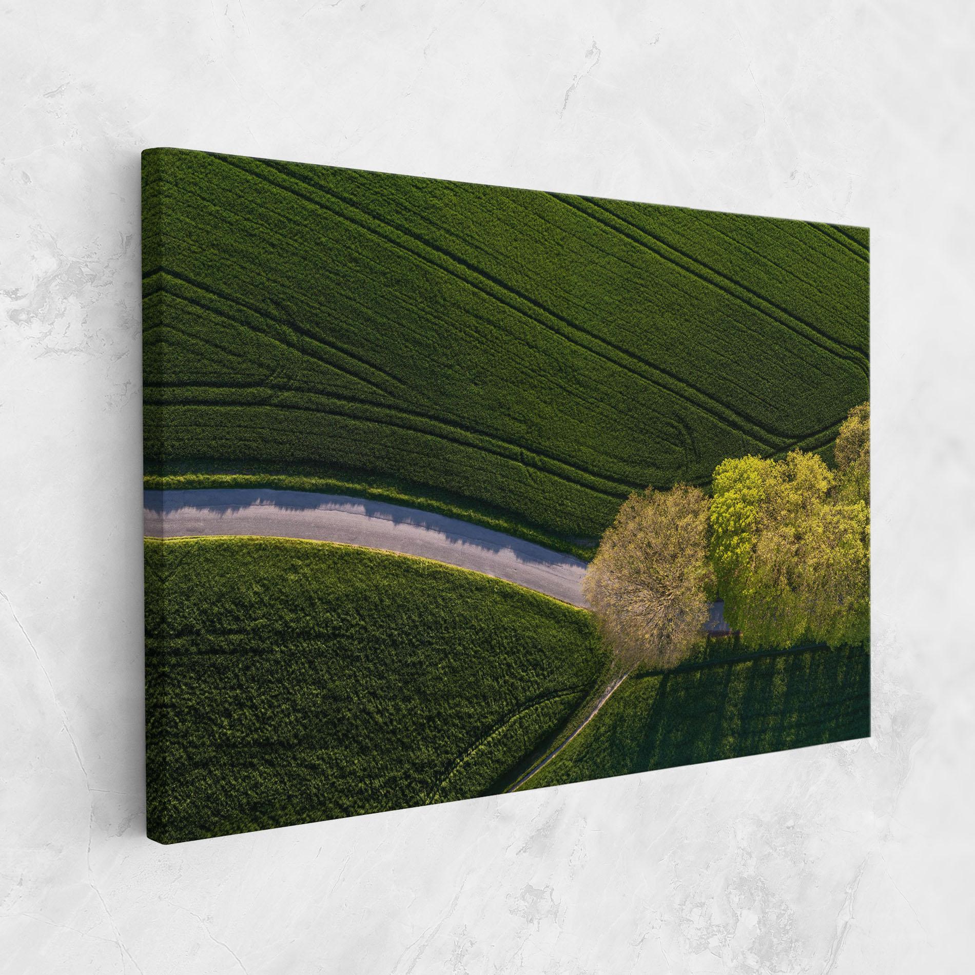 Tablou Canvas Green Road mockup 1