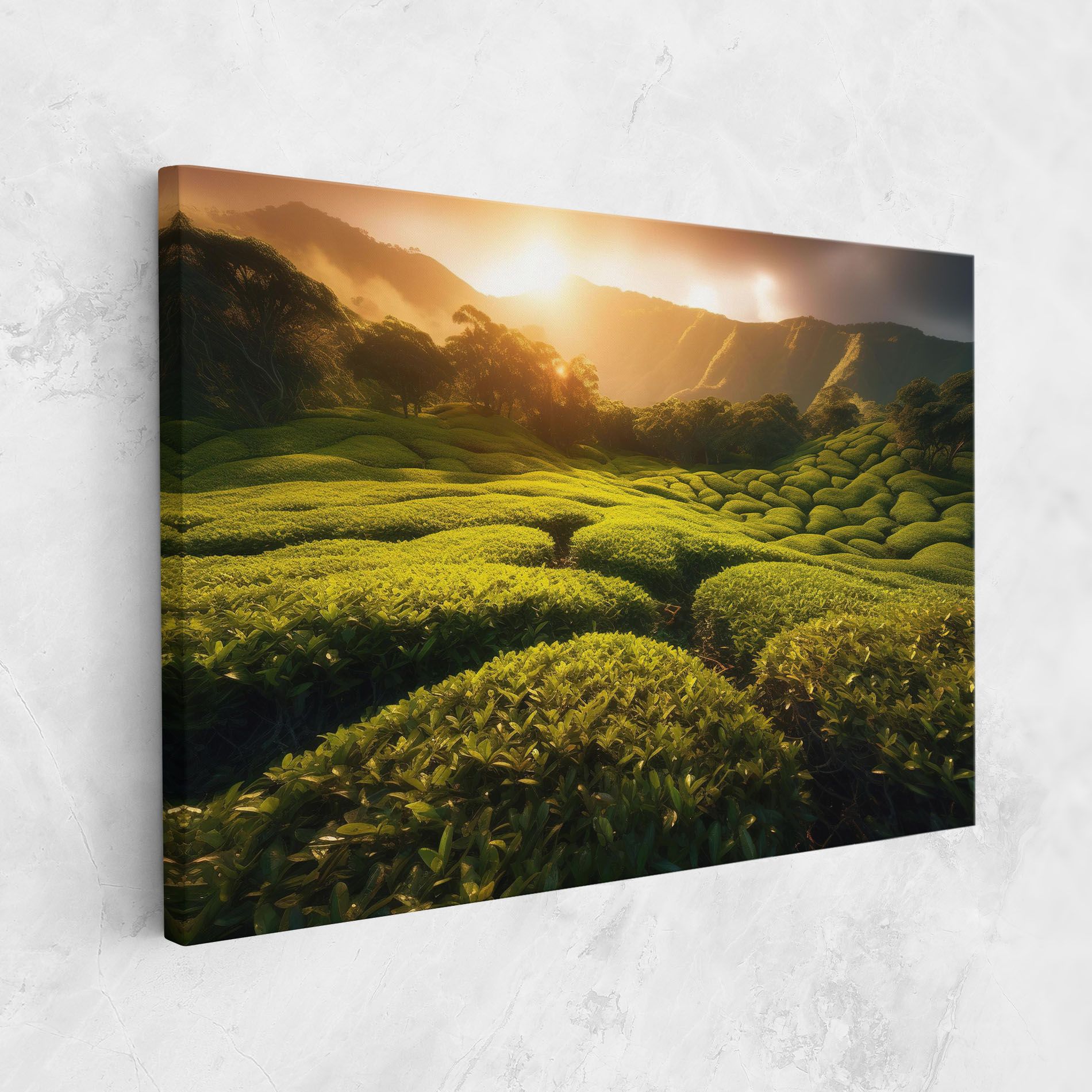 Tea Fields mockup 1
