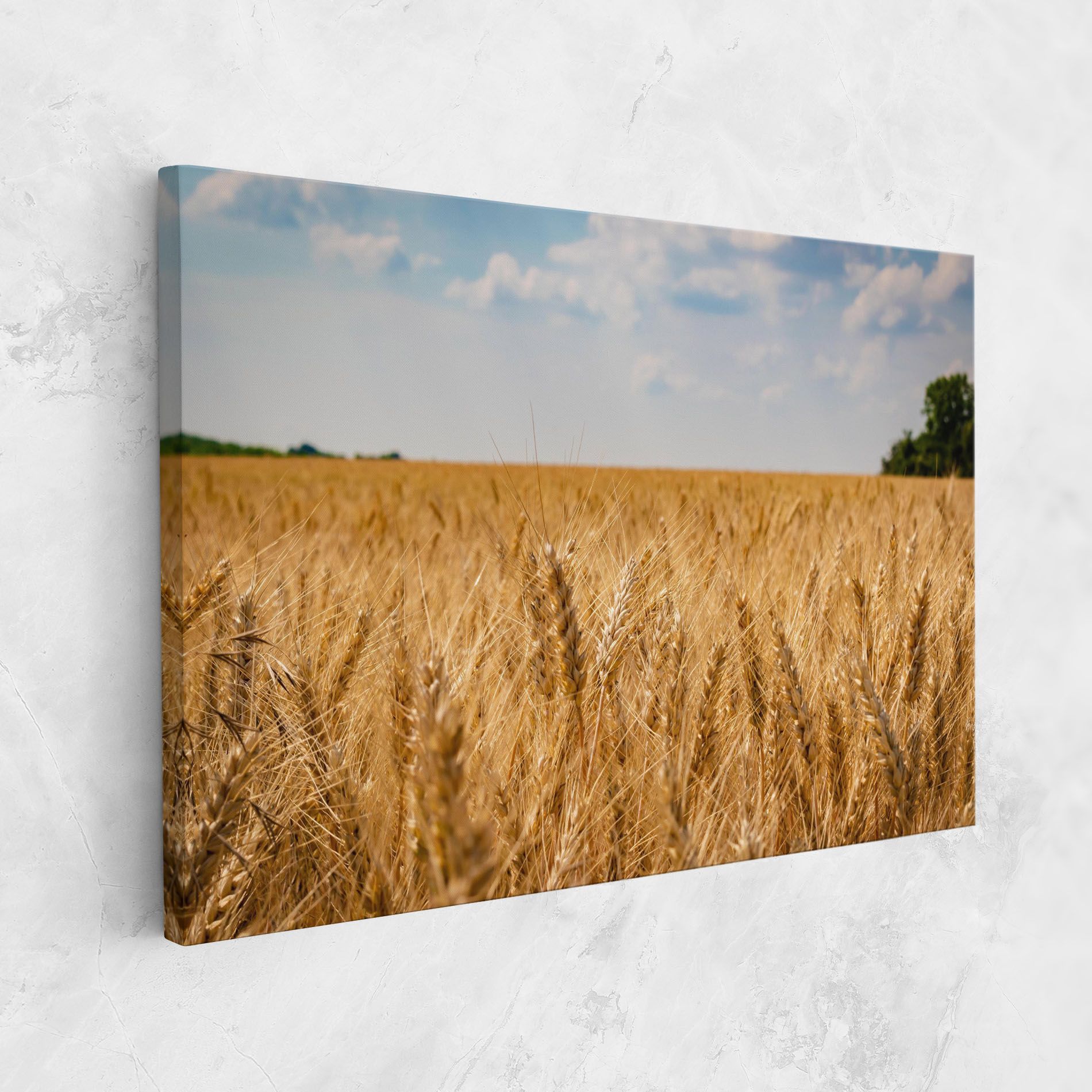 Wheat Land View mockup 1